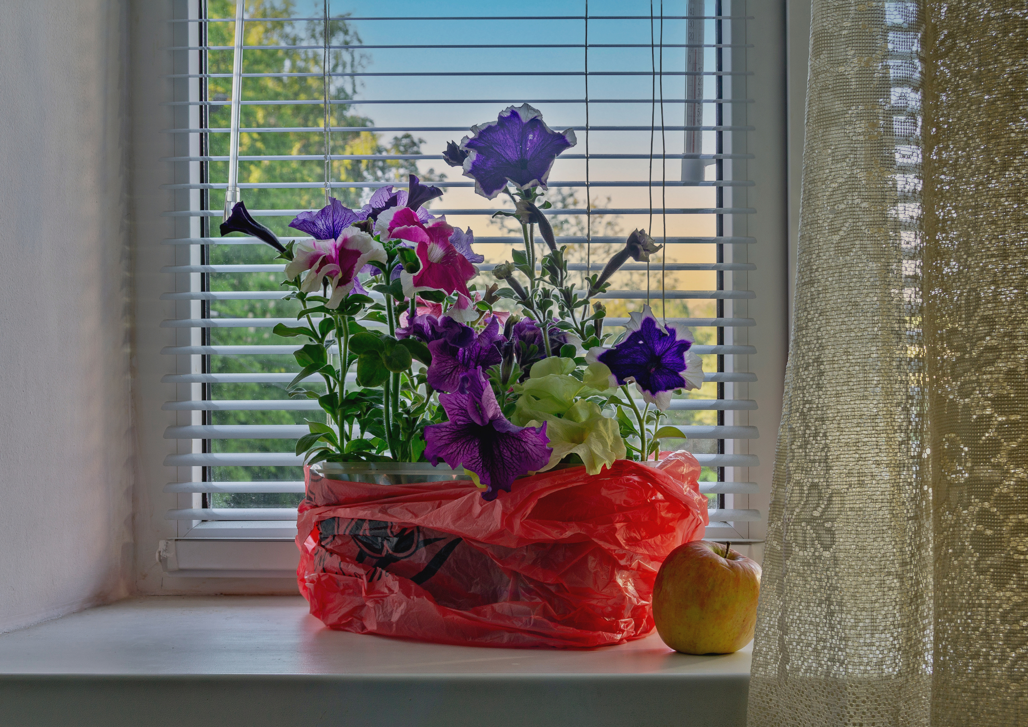 , Каменев Виталий