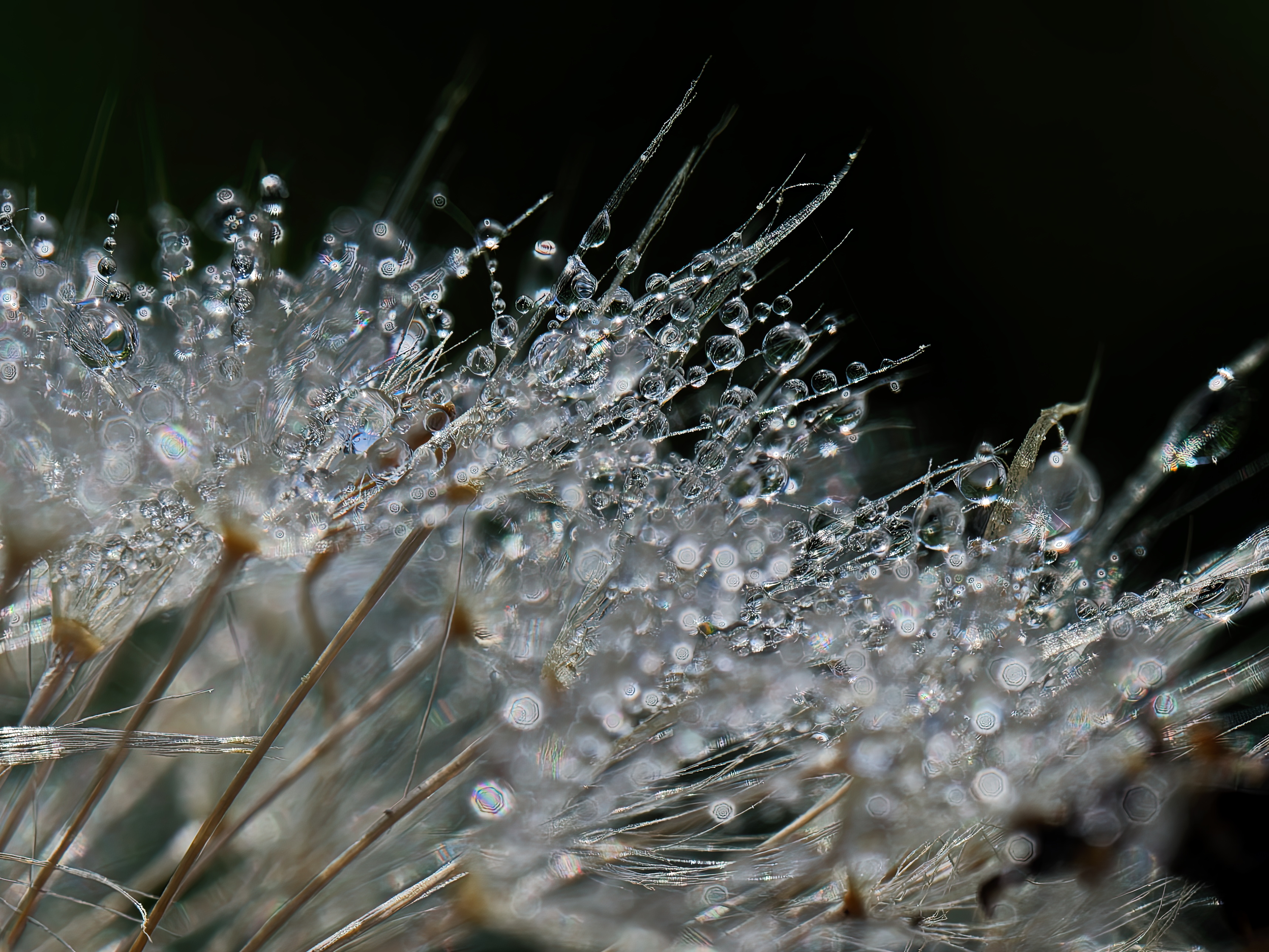 , Кузнецов Дмитрий