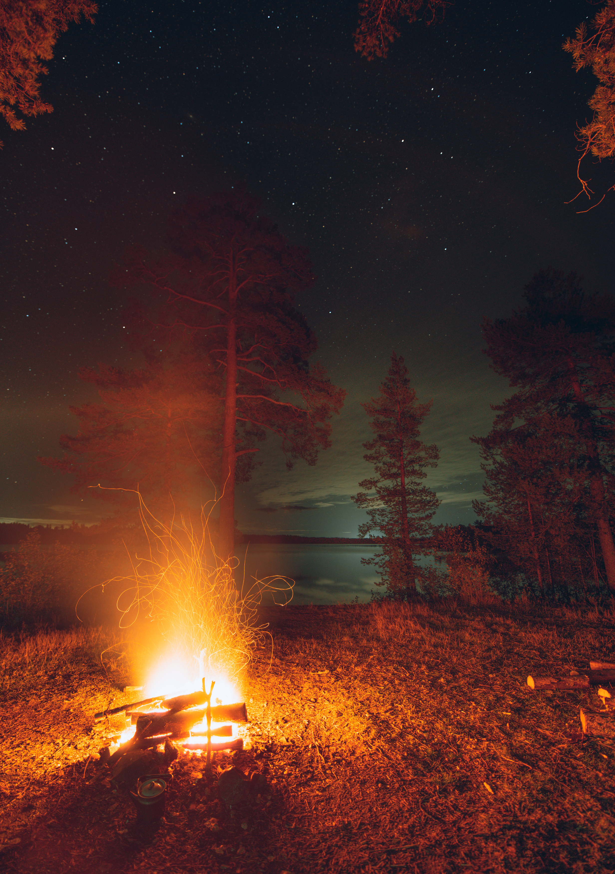 Костер, ночь, звезды, озеро, relax, outdoor, Denis Koshkin