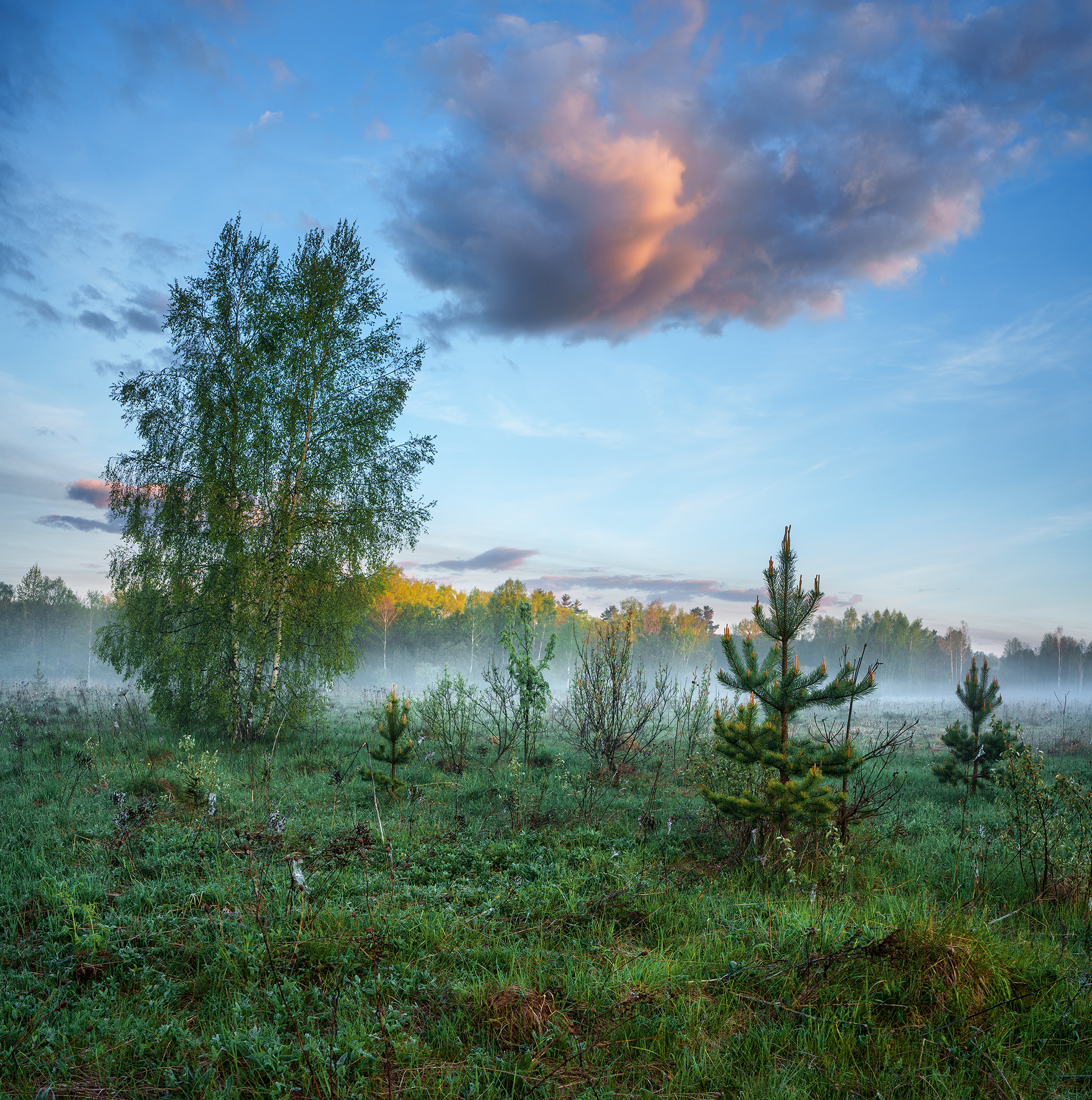, Андреев Николай