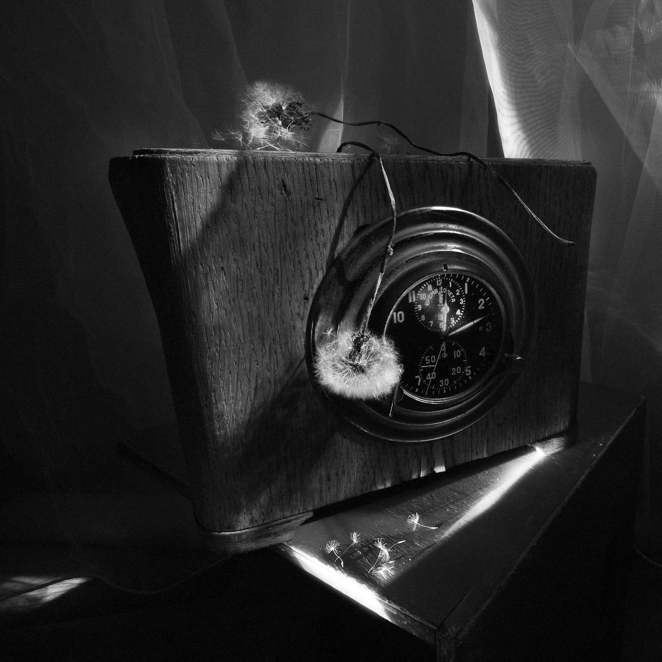 , Ирина Данилова