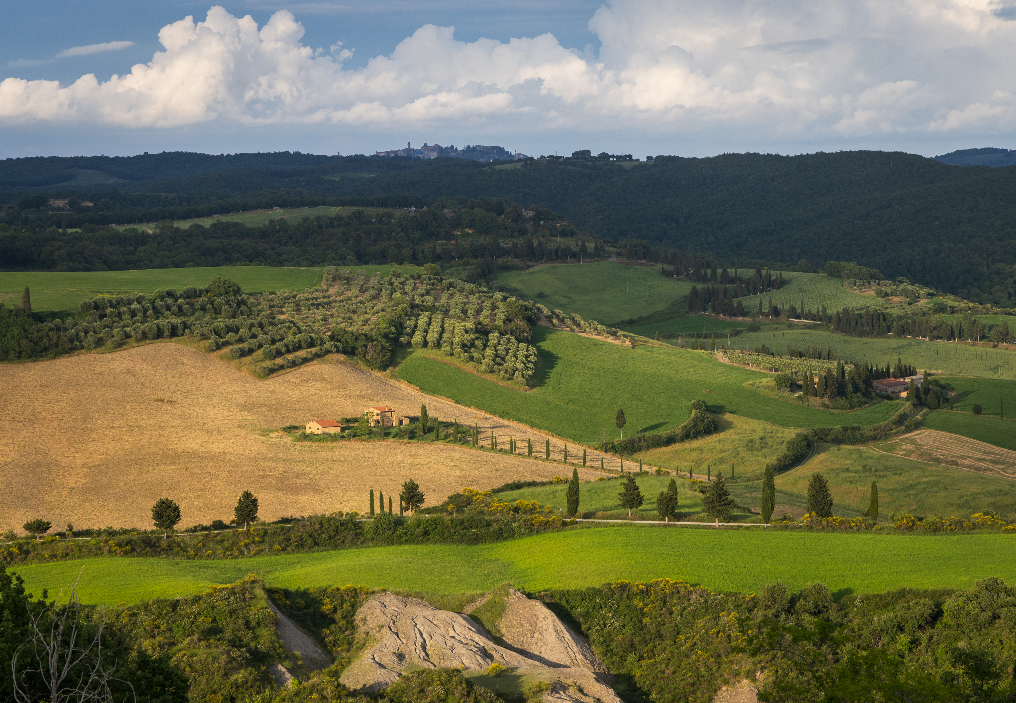 , Алекс Римский