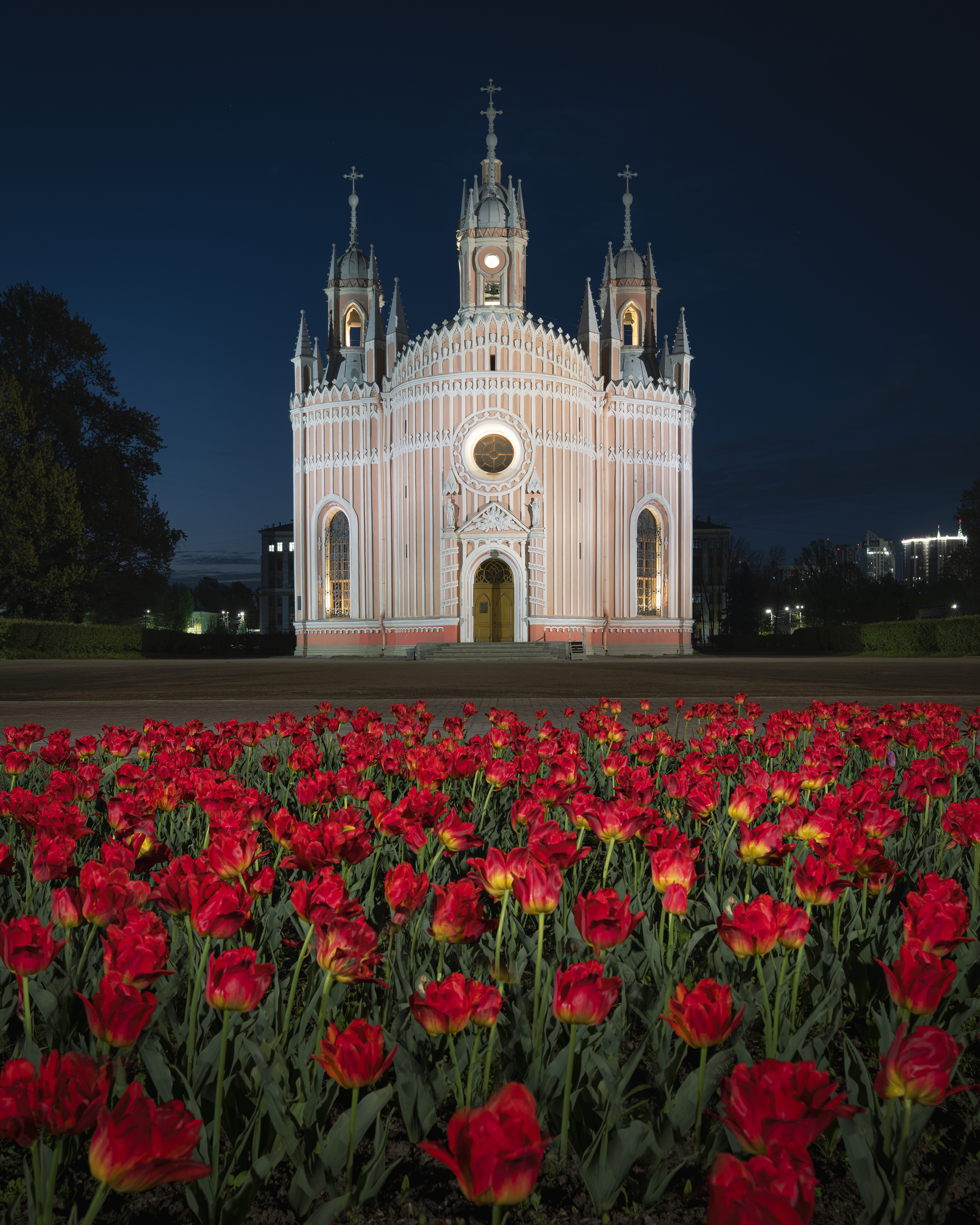 санкт-петербург , питер , чесменская церковь , тюльпаны, Черкасов Александр