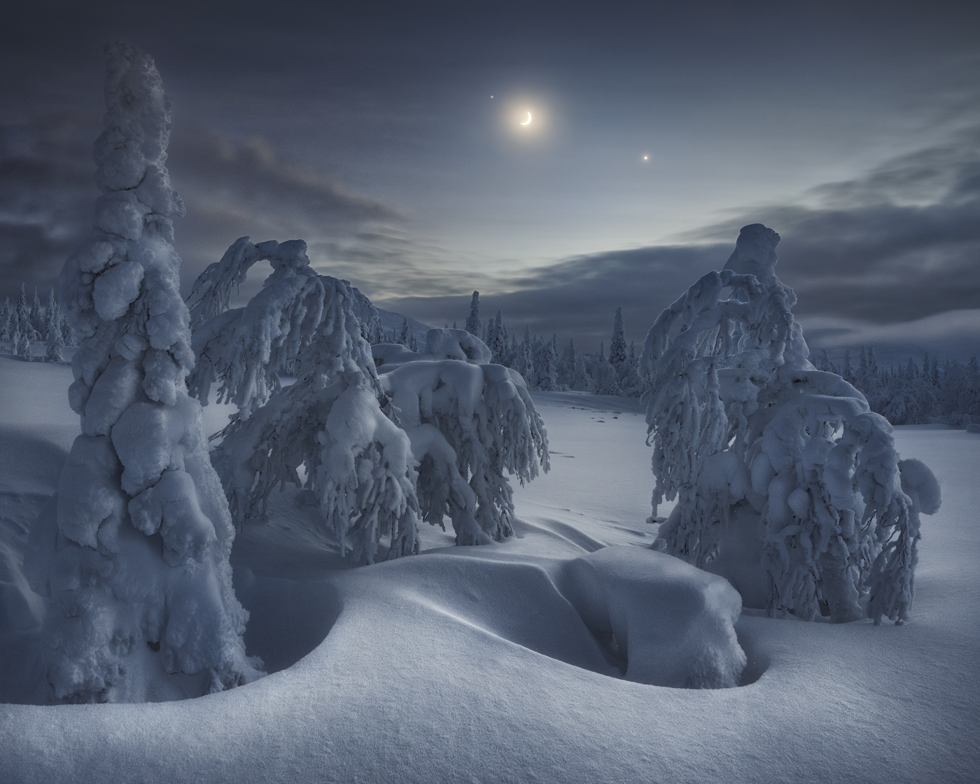 , Медянцев Дмитрий