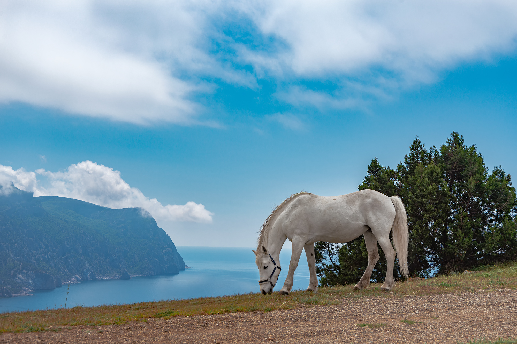, Владимир Ноздрачев
