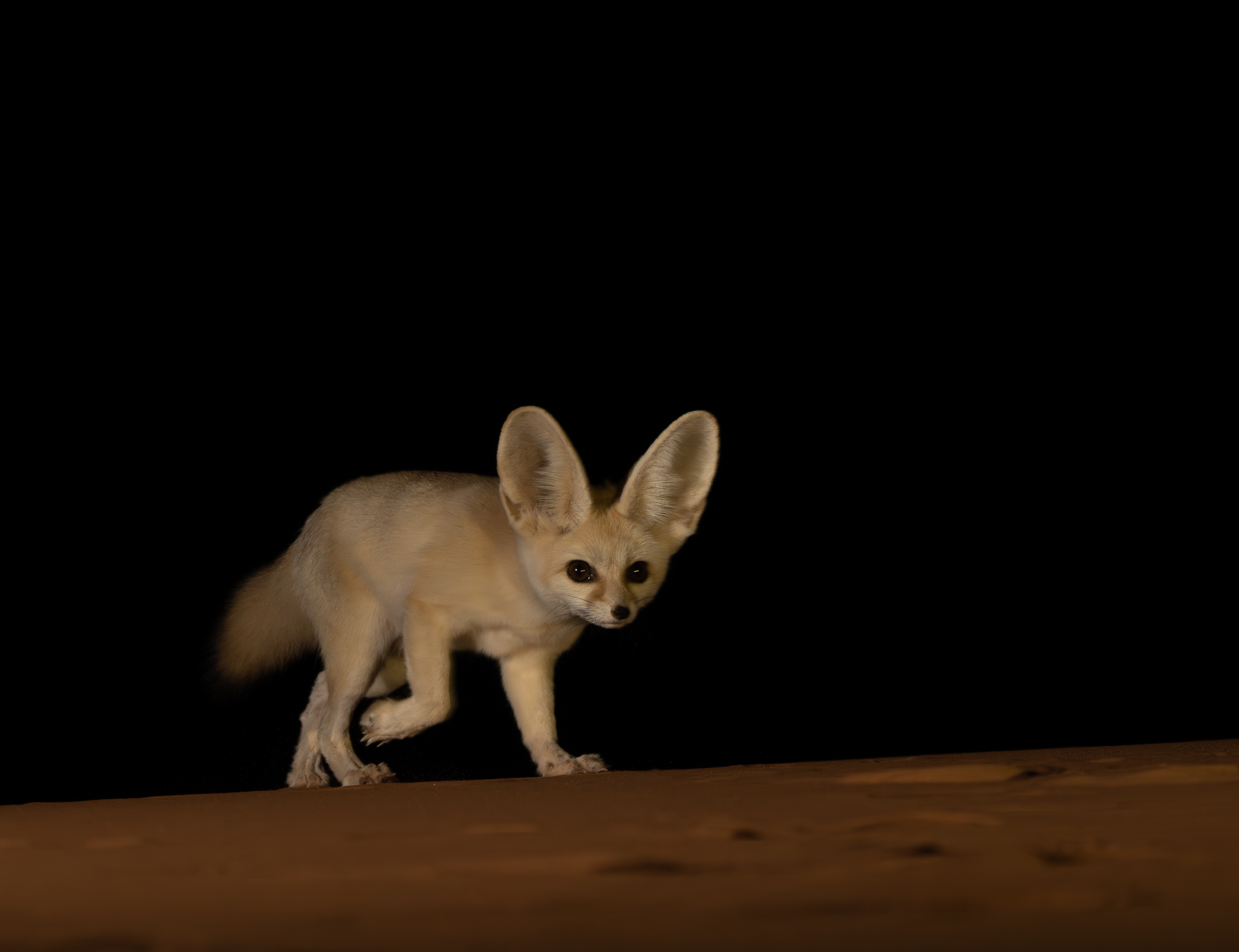 , Владимир Цветов