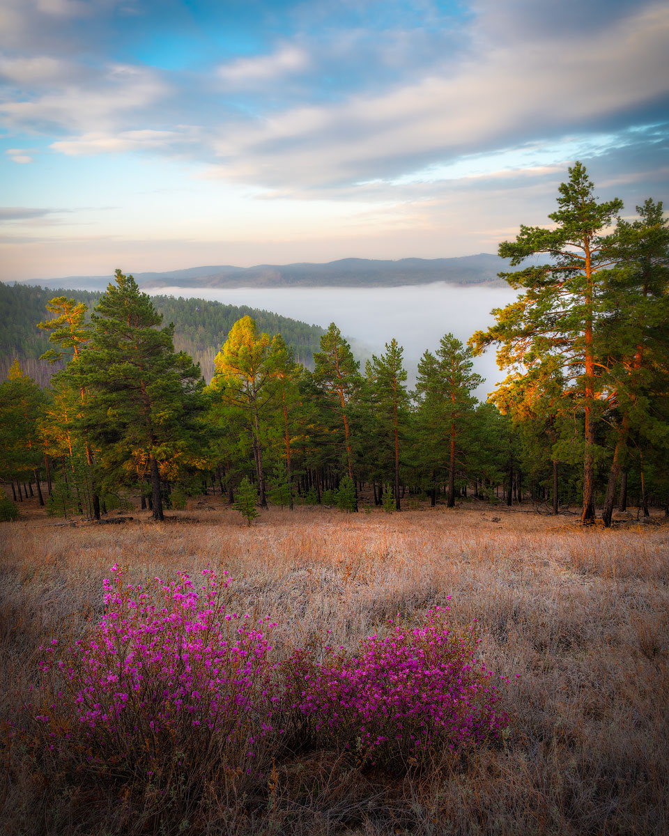 , Сергей Брагин