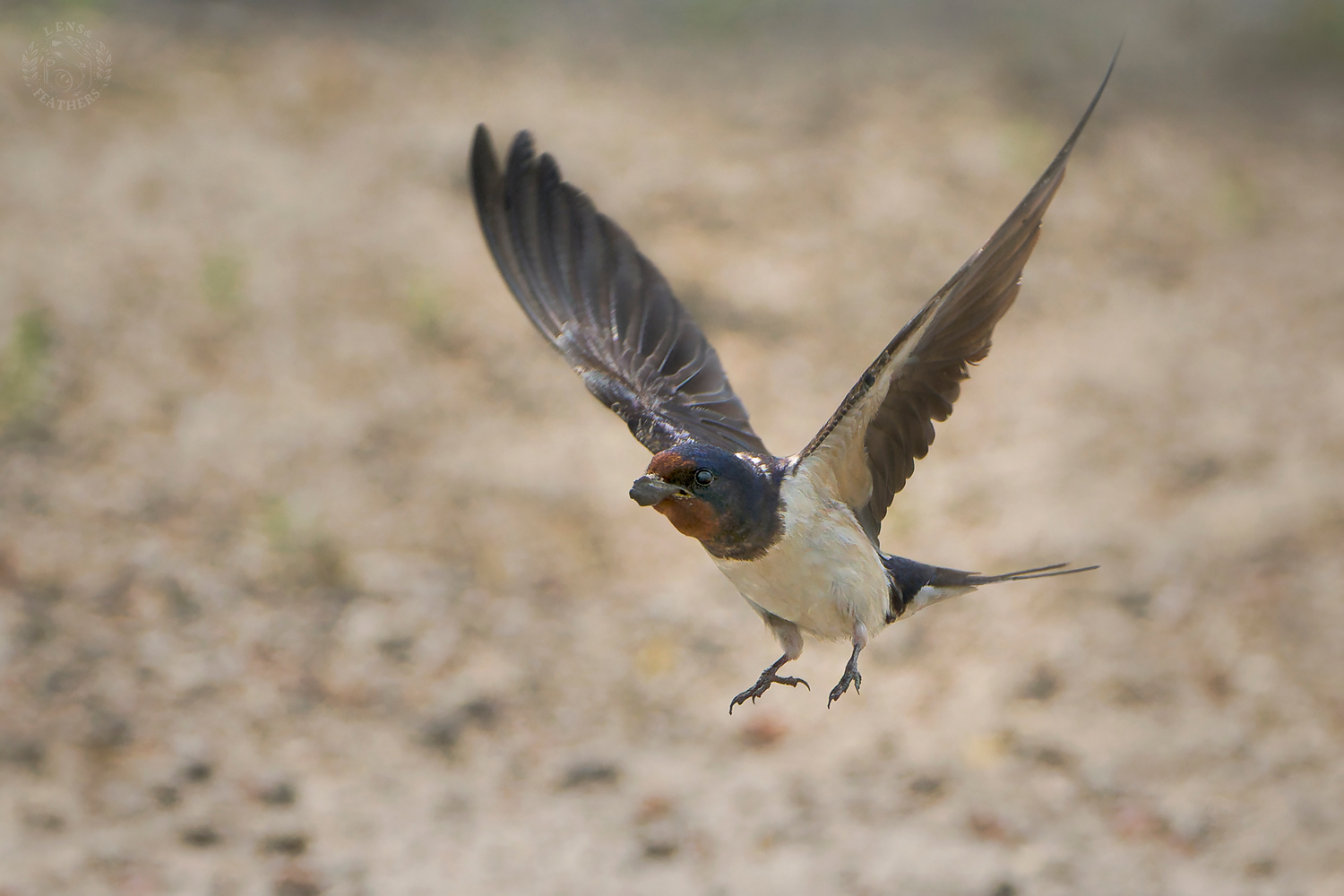 , Евгени Стефанов