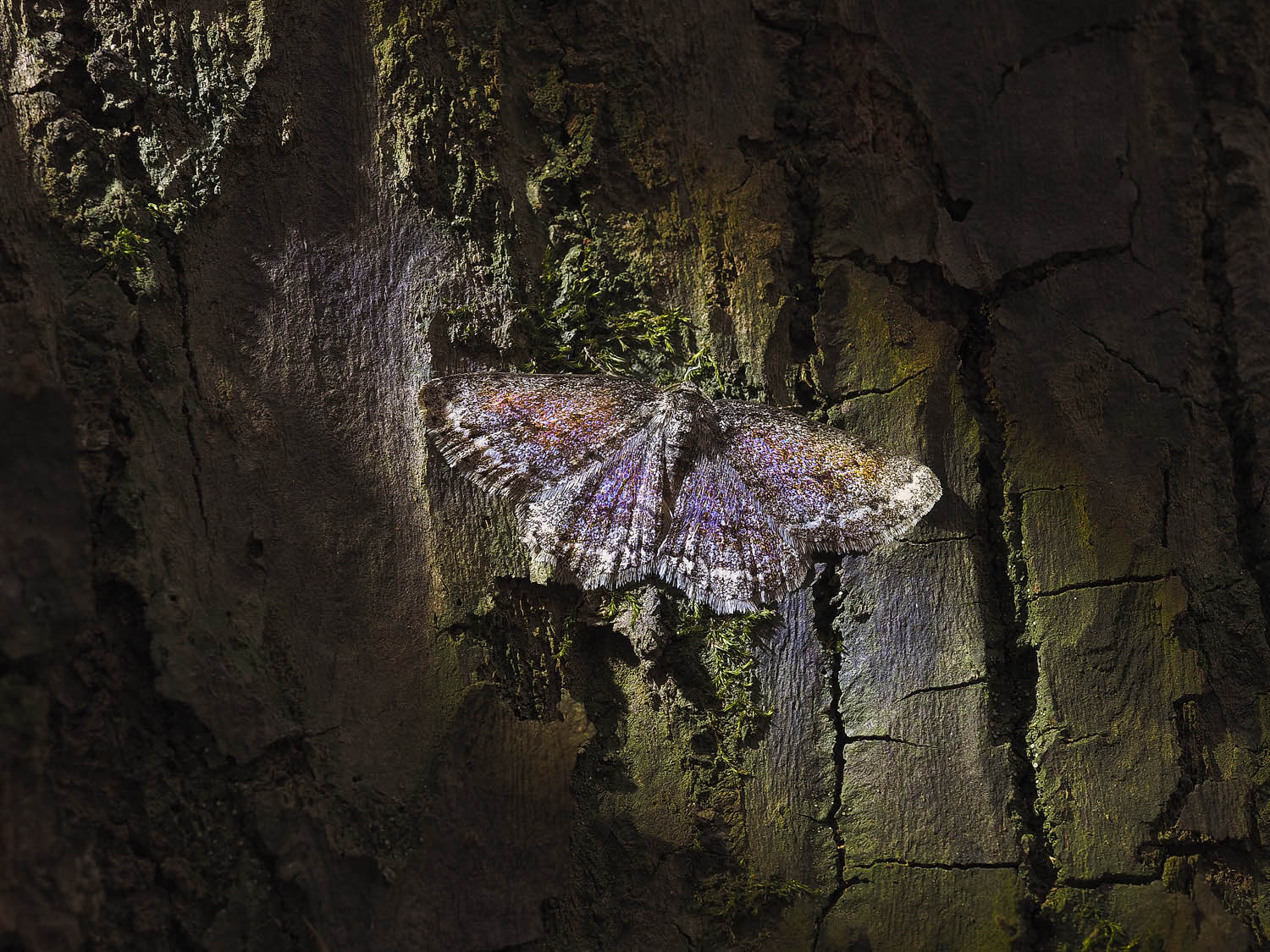 , Лукашук Евгений