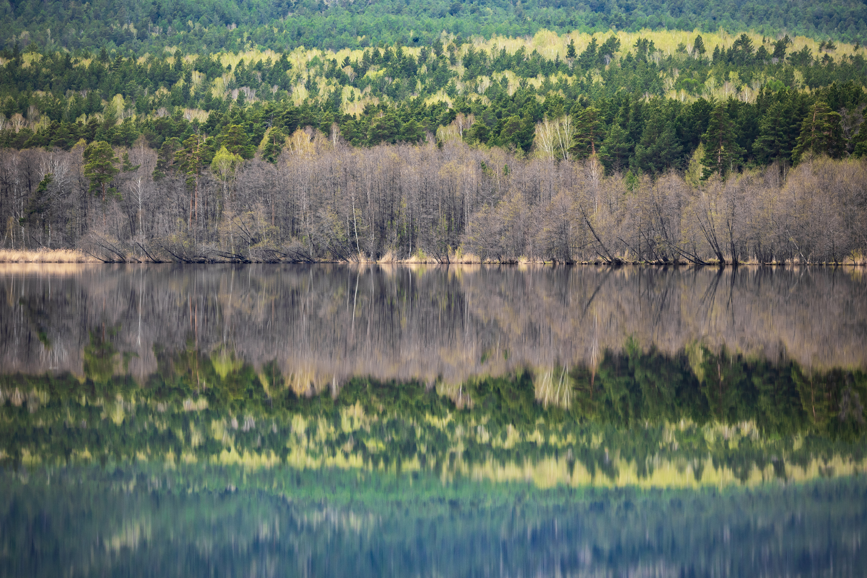 , Щепанов Дмитрий