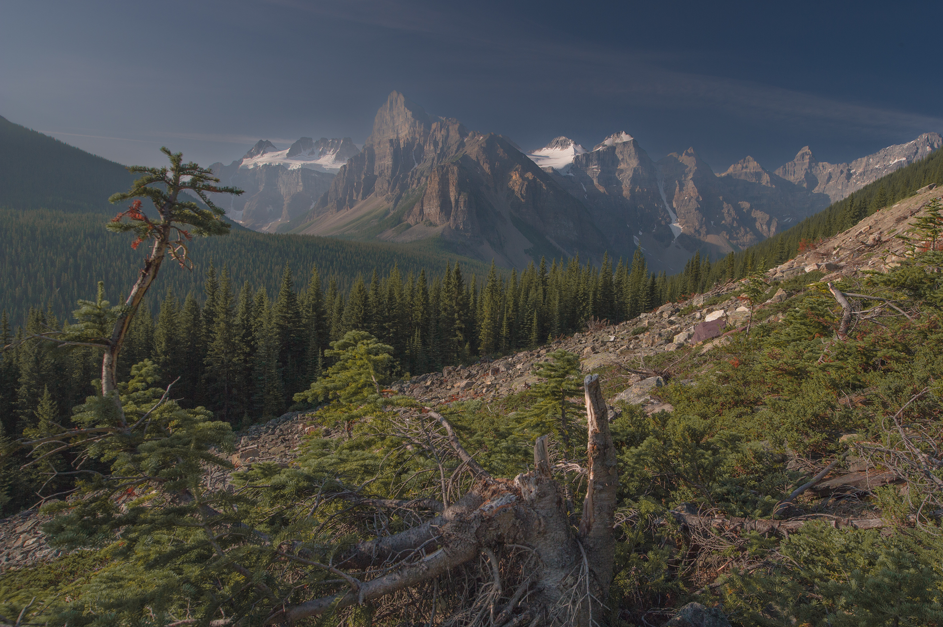 , Сергей Мухницкий