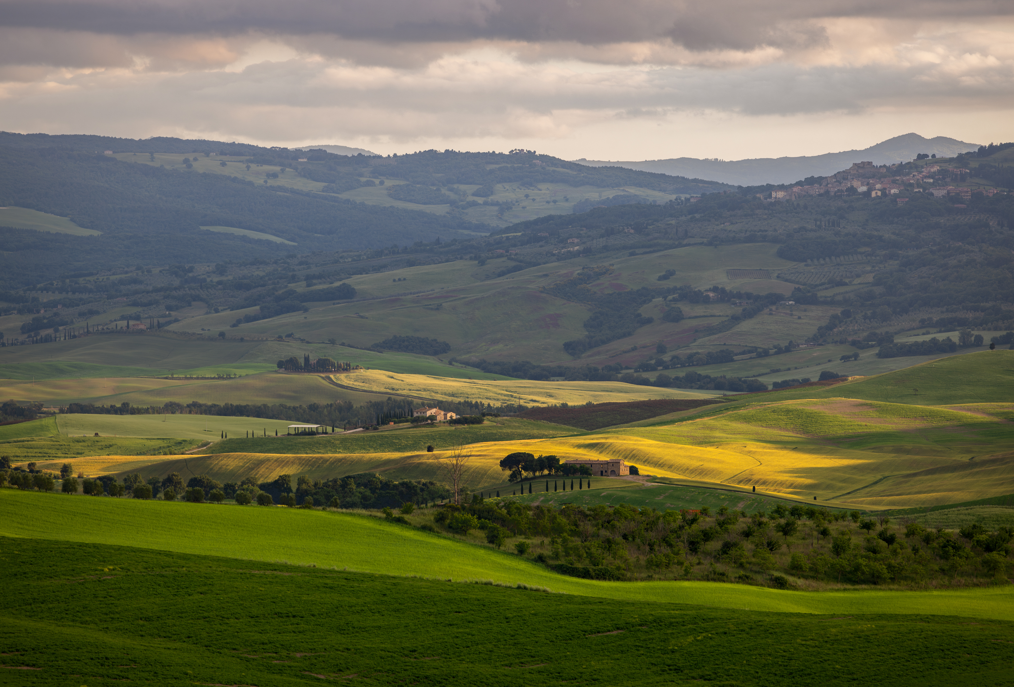 , Алекс Римский