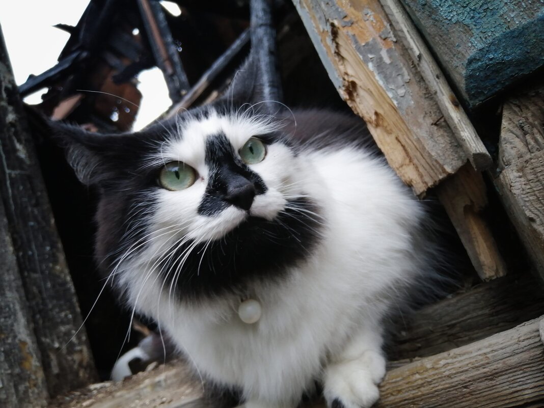 , Сергей Клапишевский