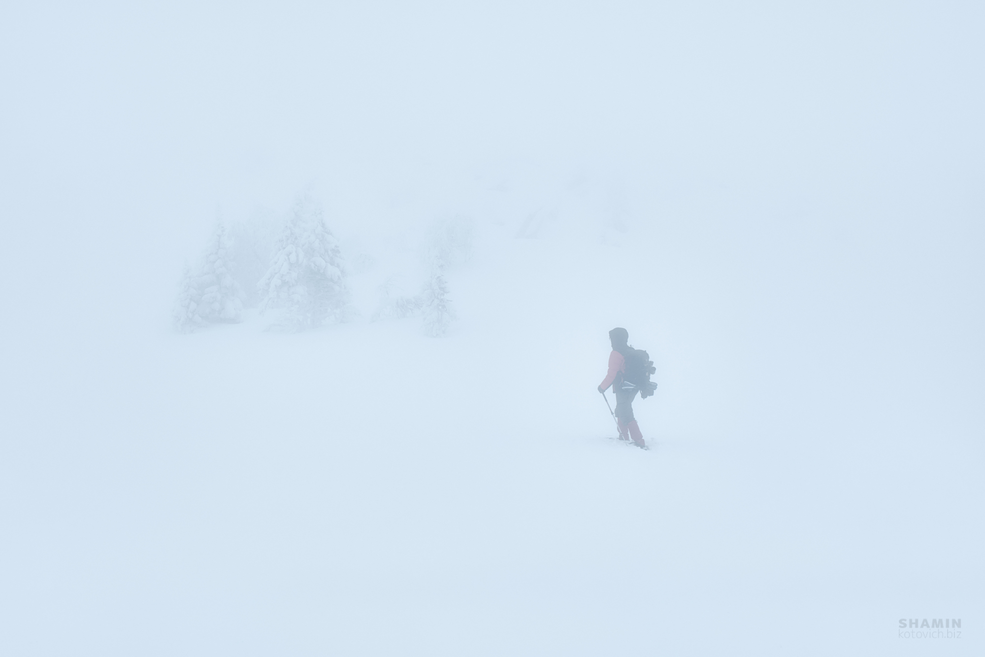 , Константин Шамин