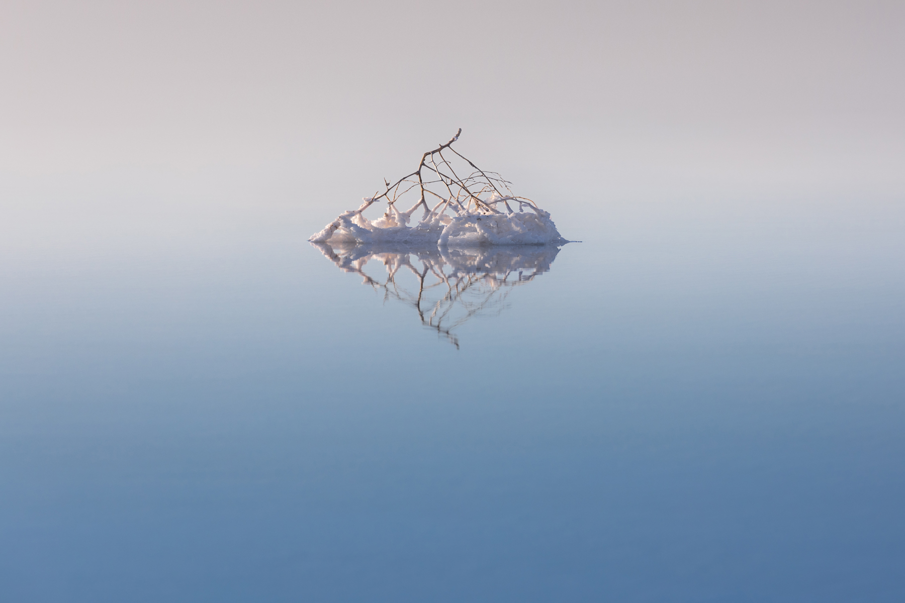 Эльтон, Волгоградская область, пейзаж, солёное озеро, озеро, Перекати-поле, Светлана Грянкина