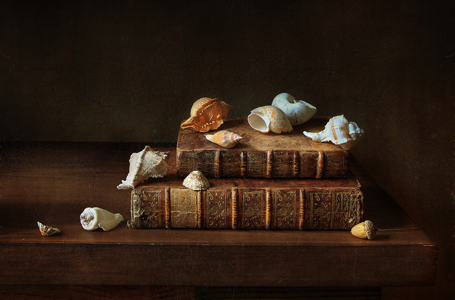 , Рита Гончаренко