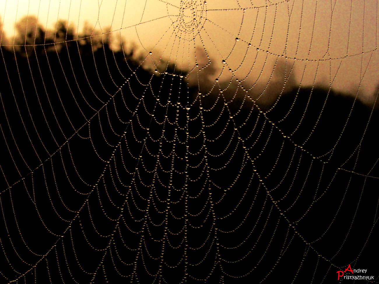 , Andrey Pristyazhnyuk