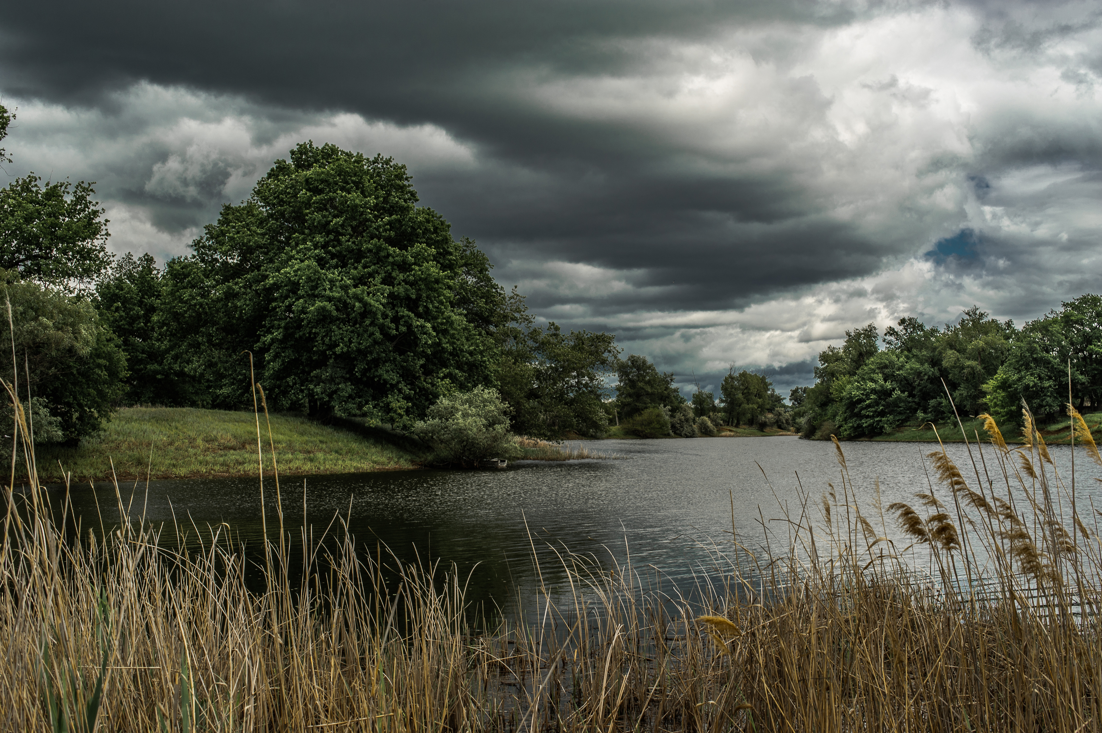 пейзаж,природа,весна,озеро, Vasilev Roman
