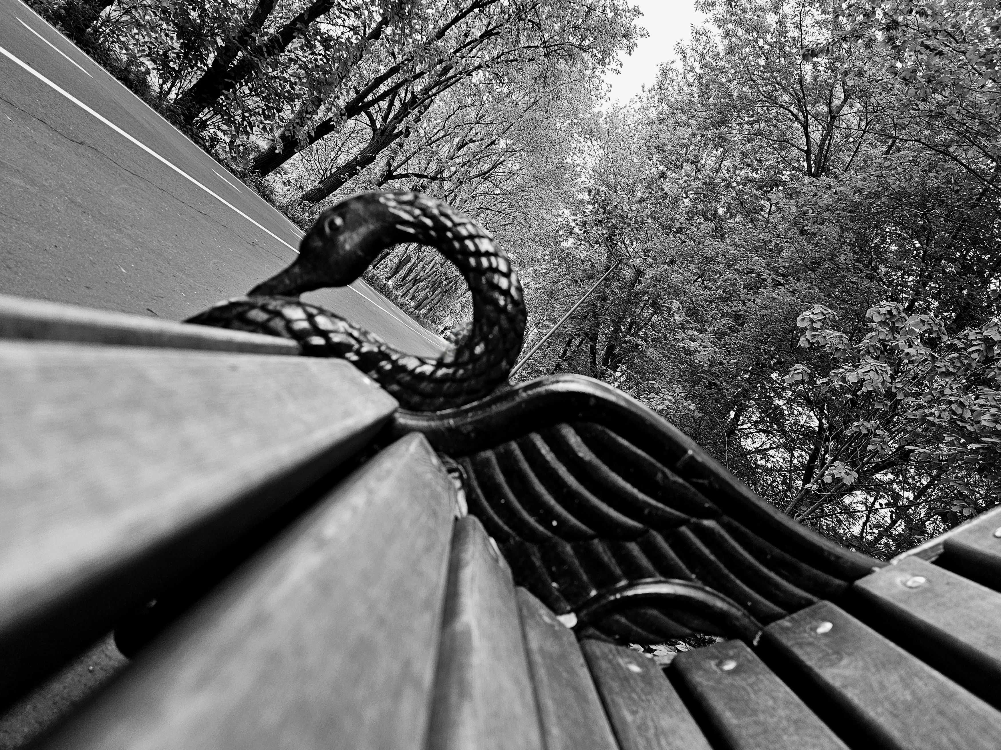 , Мария Яковлева