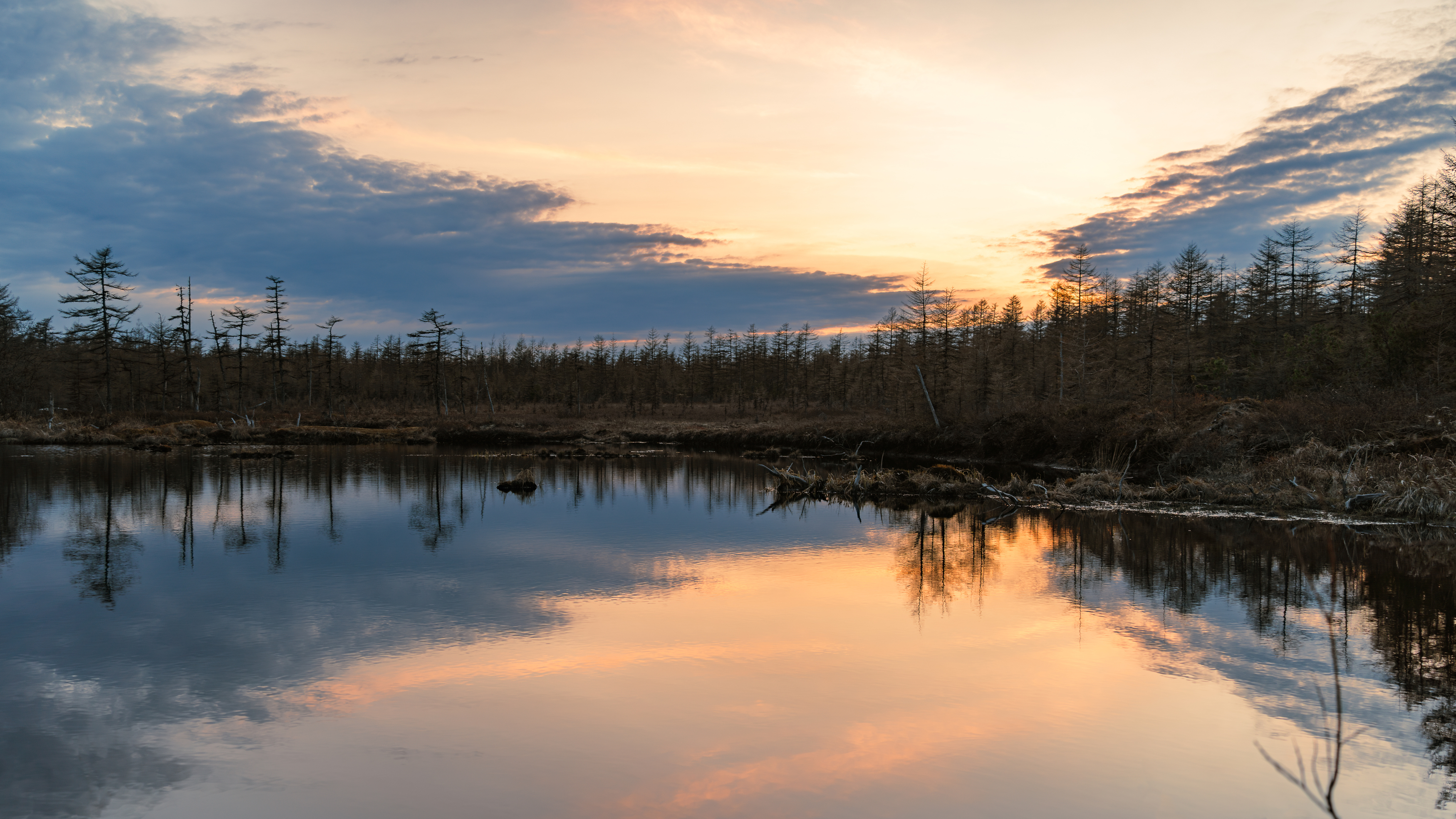 , Антон Сидоров