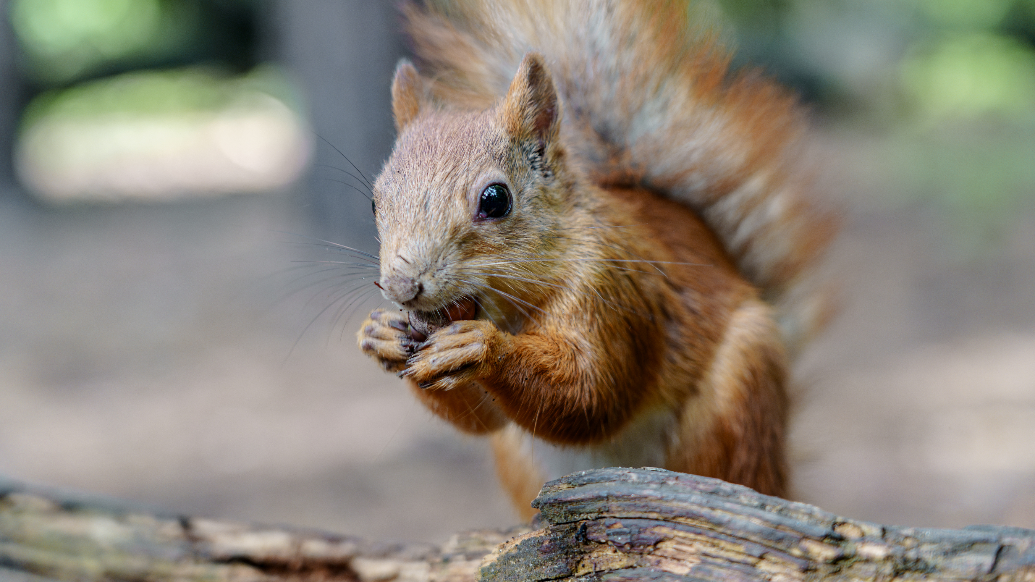 , Вертиков Юрий