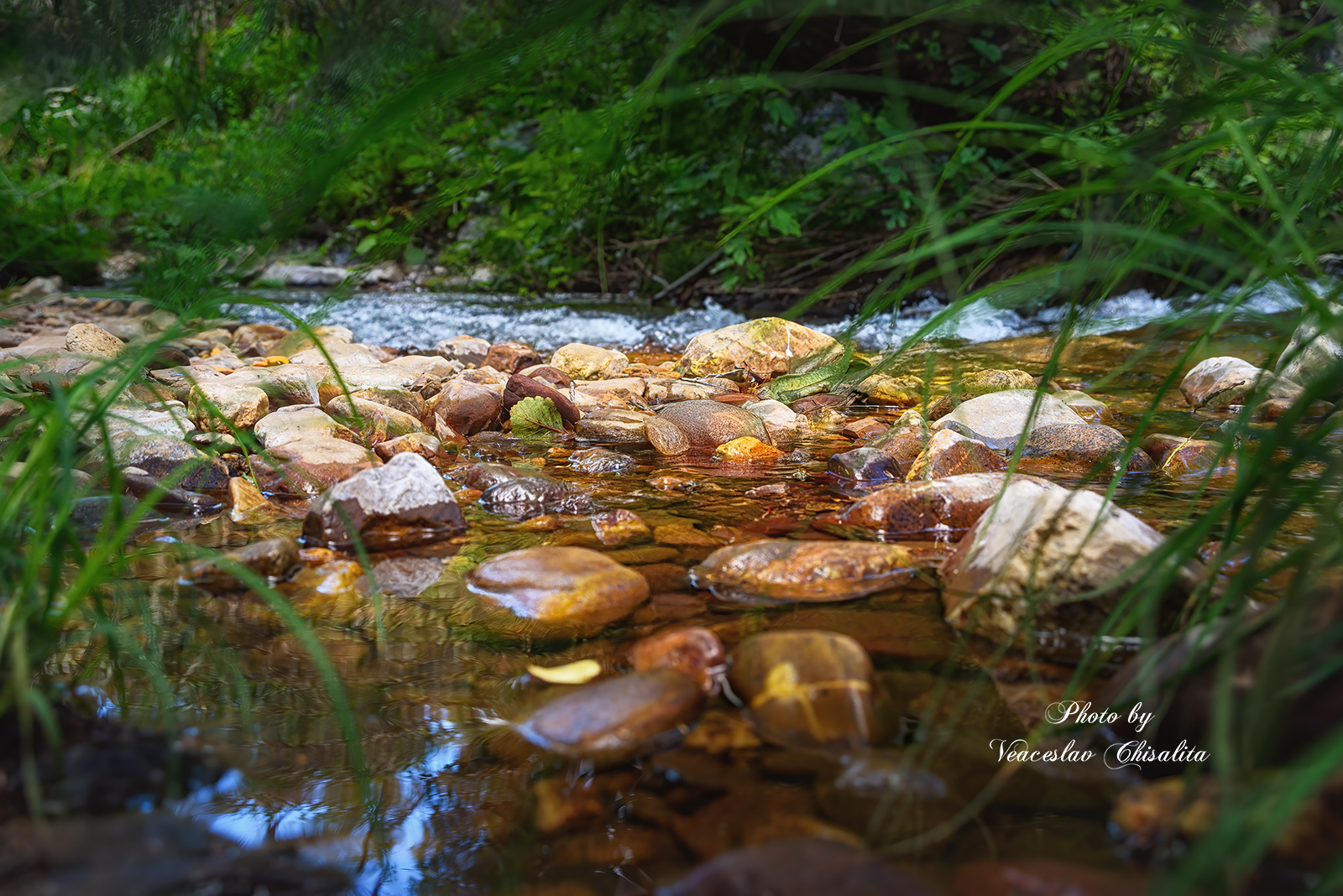 #природа #горныйручей #живописно #горы #поход #летовгорах #пейзаж #тишина #свежийвоздух #диканатура #поток #зелень #вода #горнаярека #природнаямагия #nature #mountainstream #greenescape #hikingadventures #naturevibes #wildwater #earthmood #sereneviews #la, Veaceslav Chisalita