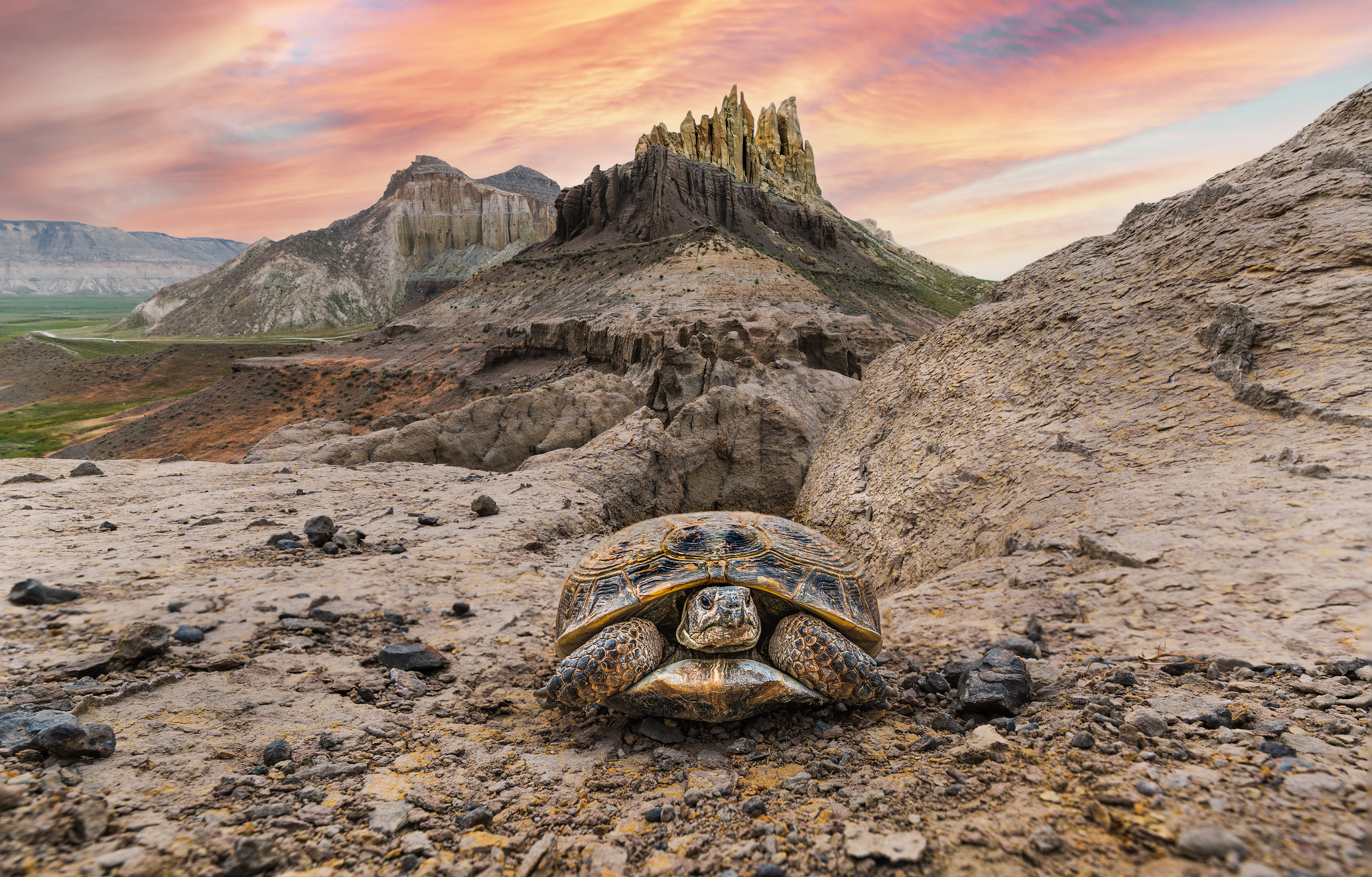 , Валерий Одинцов