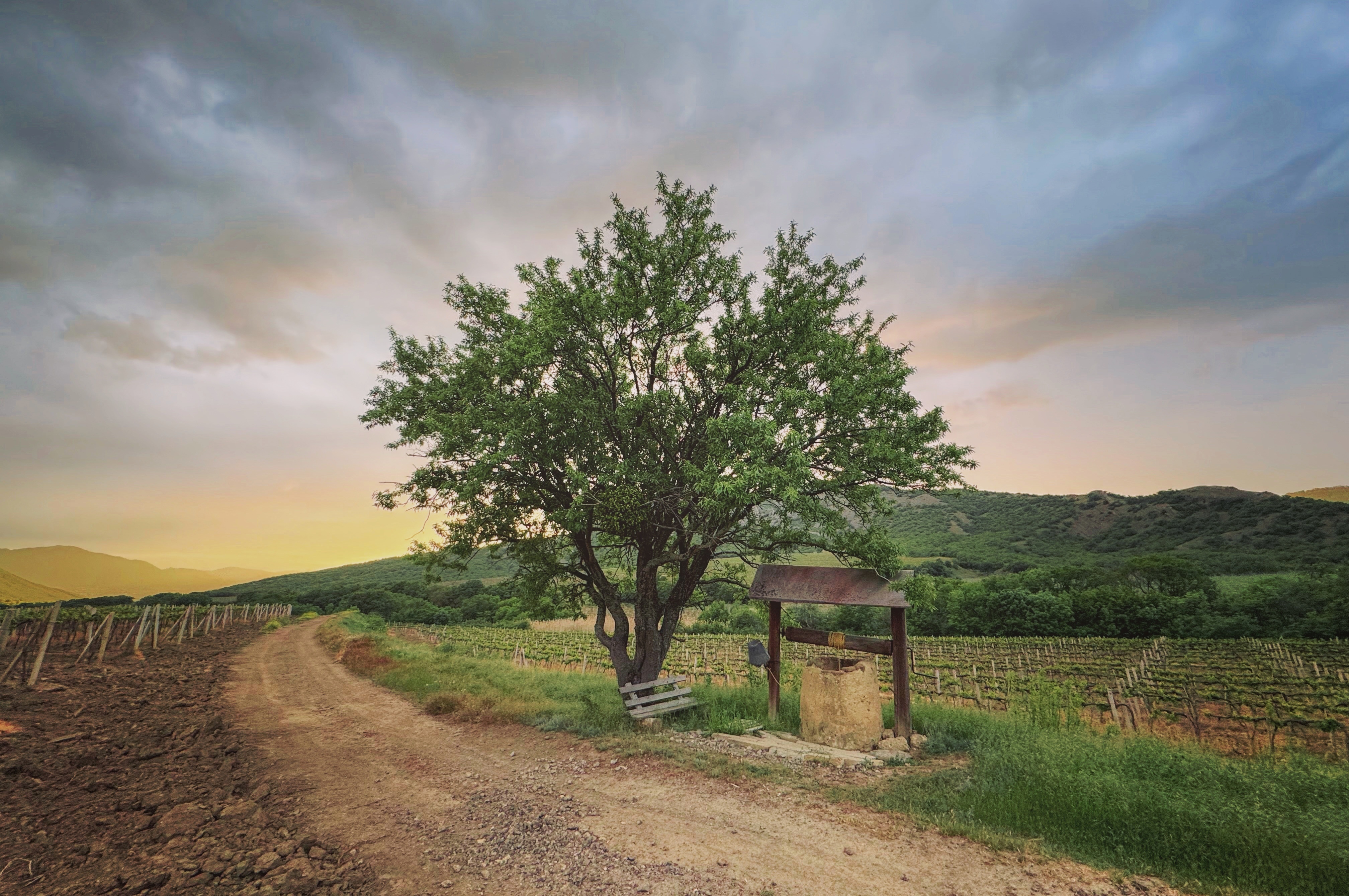 , Вадим Качанов