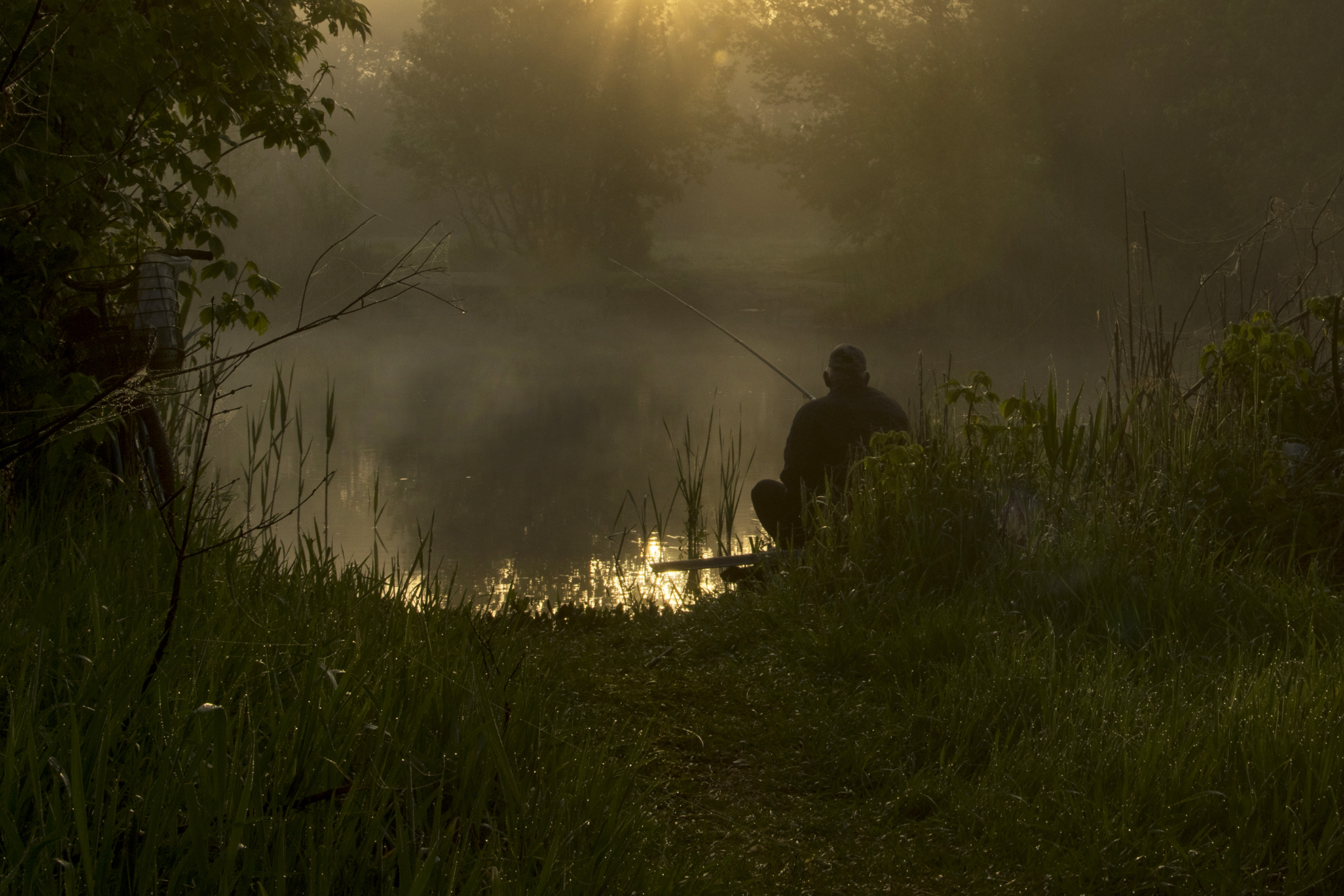 природа, Валерий Черняк