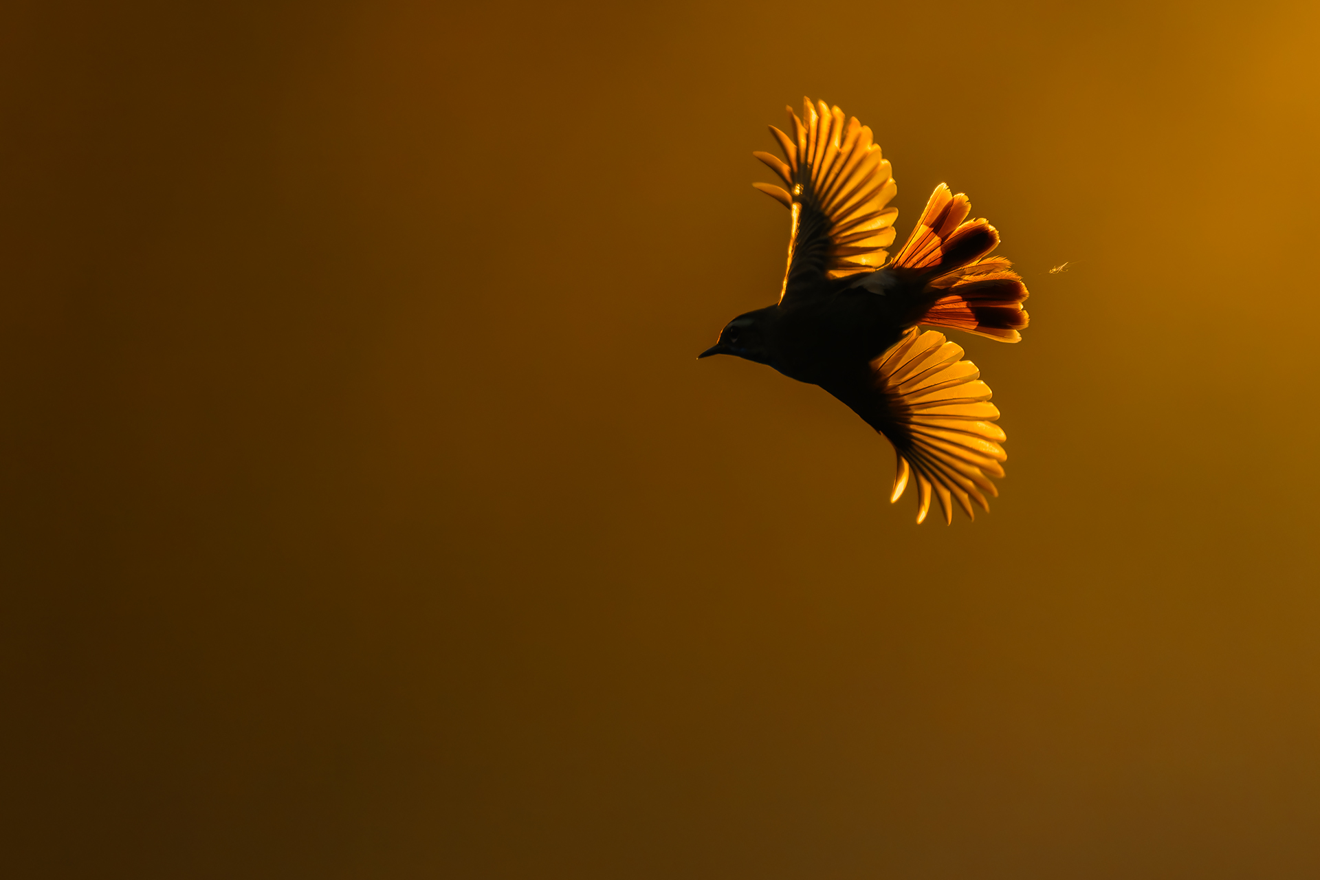 , Калинин Михаил