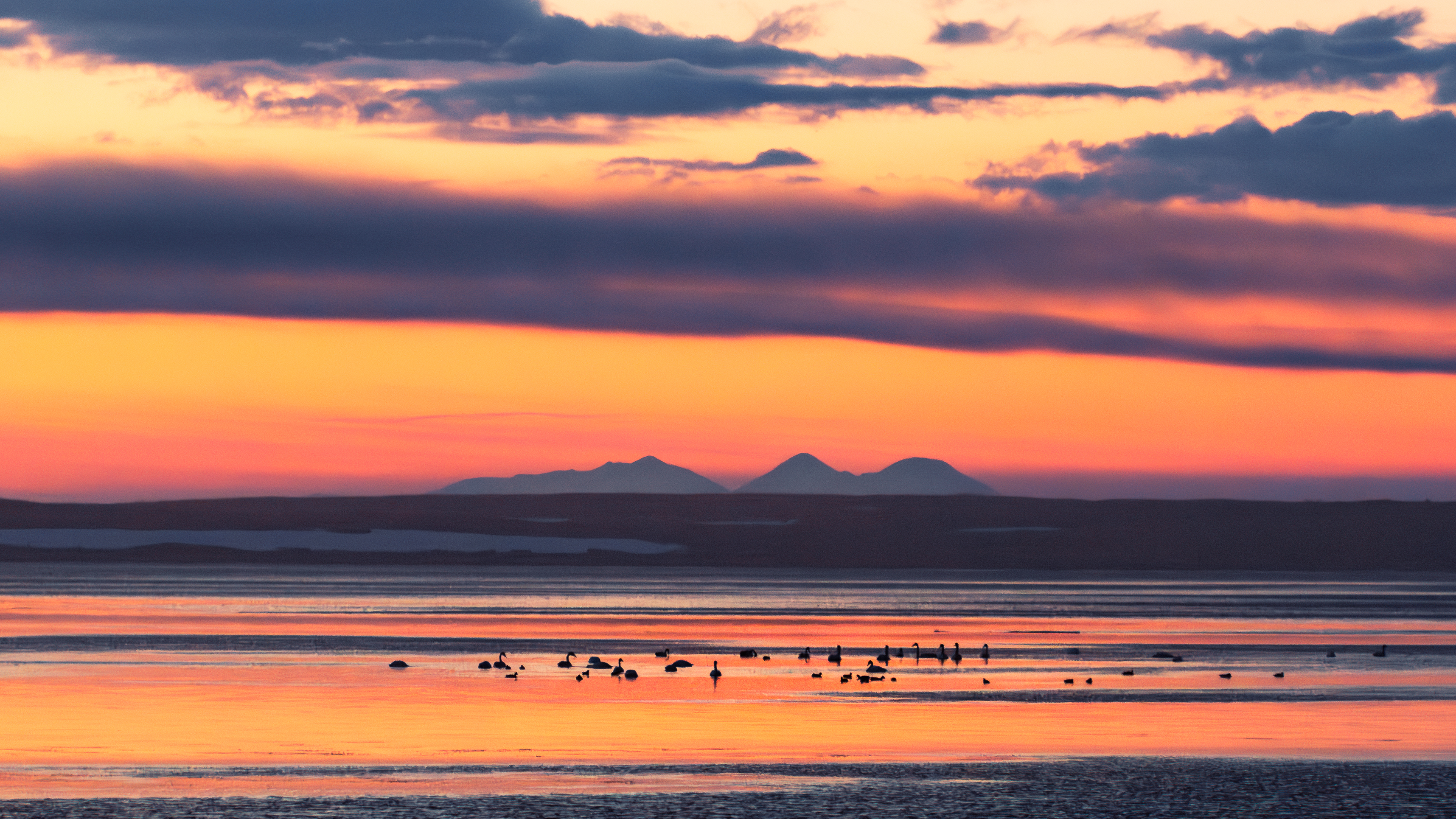 , Антон Сидоров