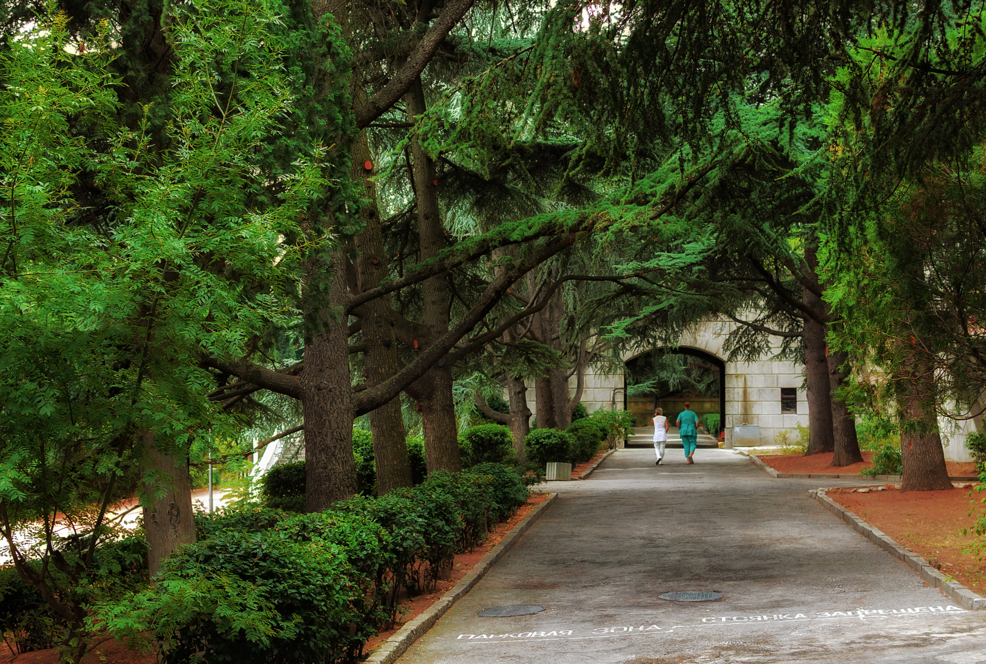 , Лысенко Сергей