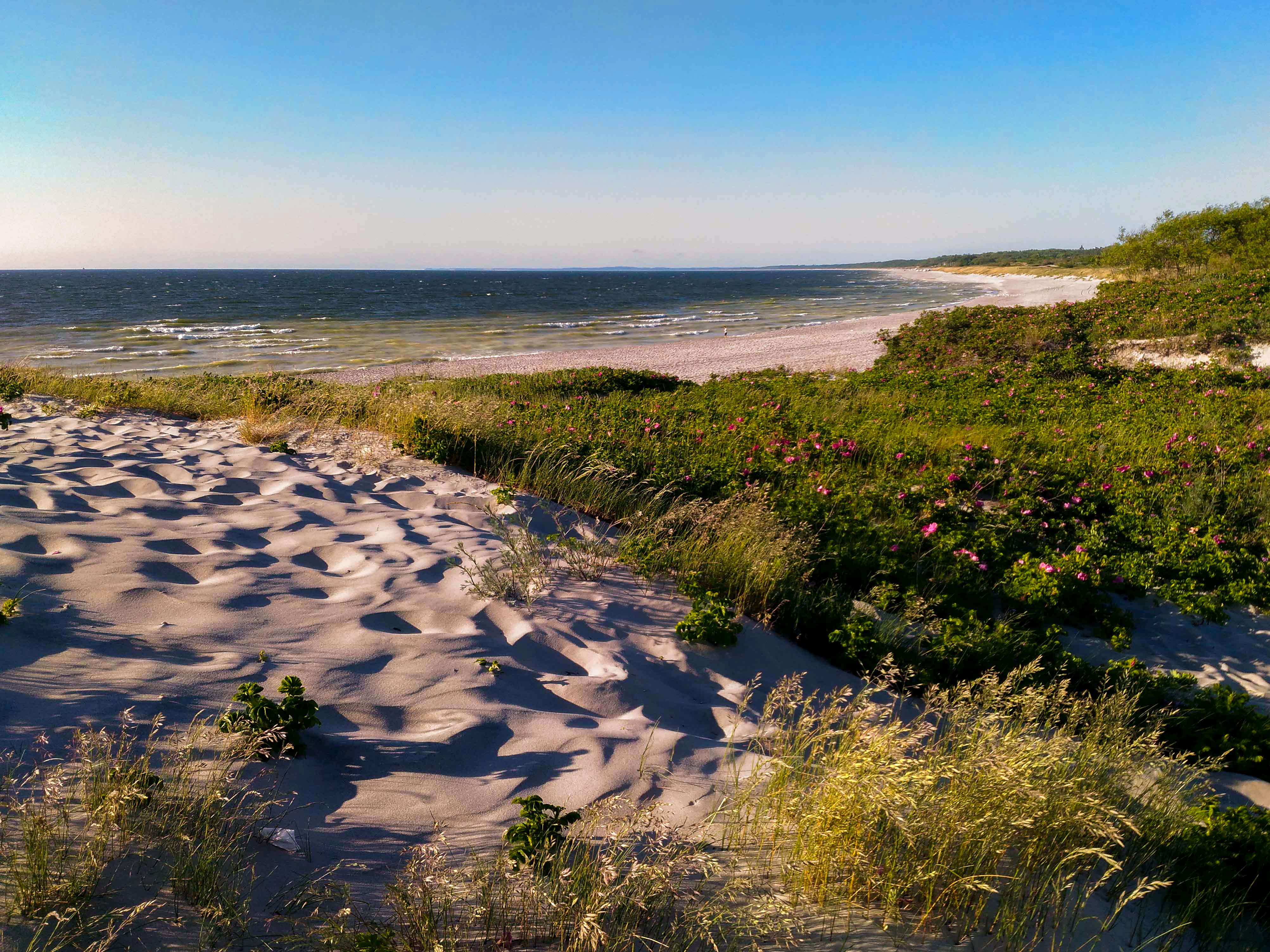 дюны море, Allexx