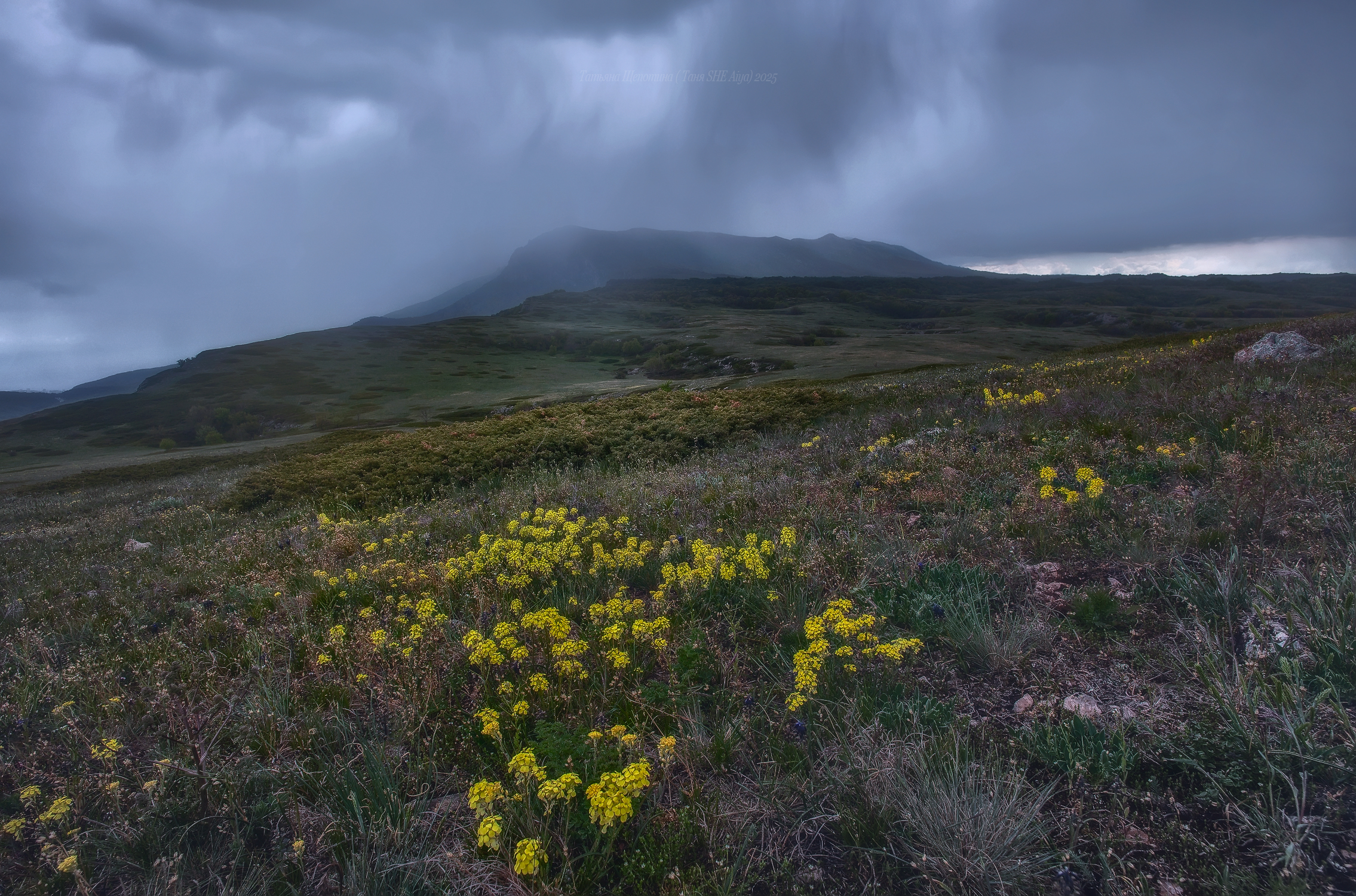 крым, симферополь, чатыр даг, crimea, nature, пейзаж, landscape, Щепотина Татьяна
