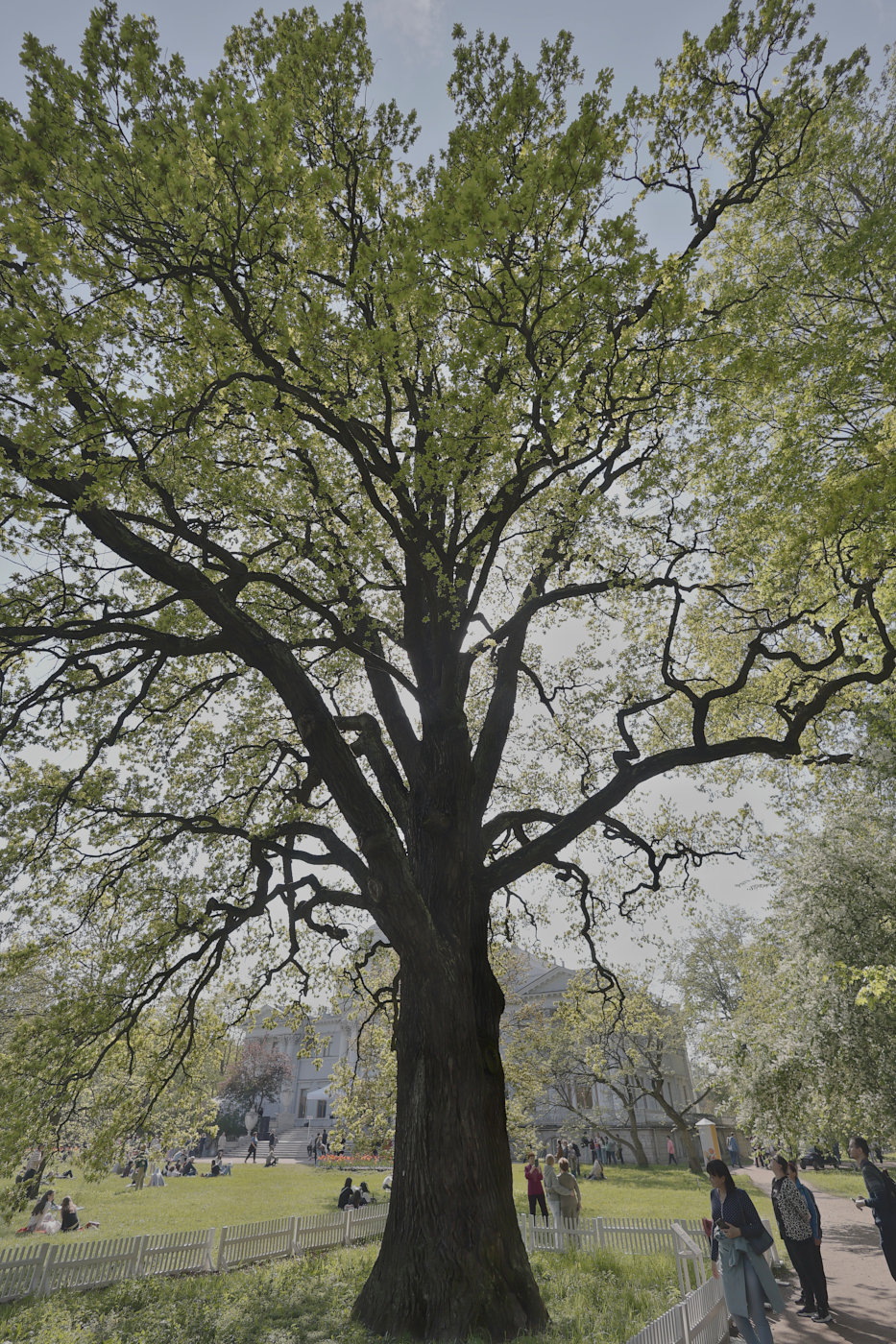 , Александр Зорин