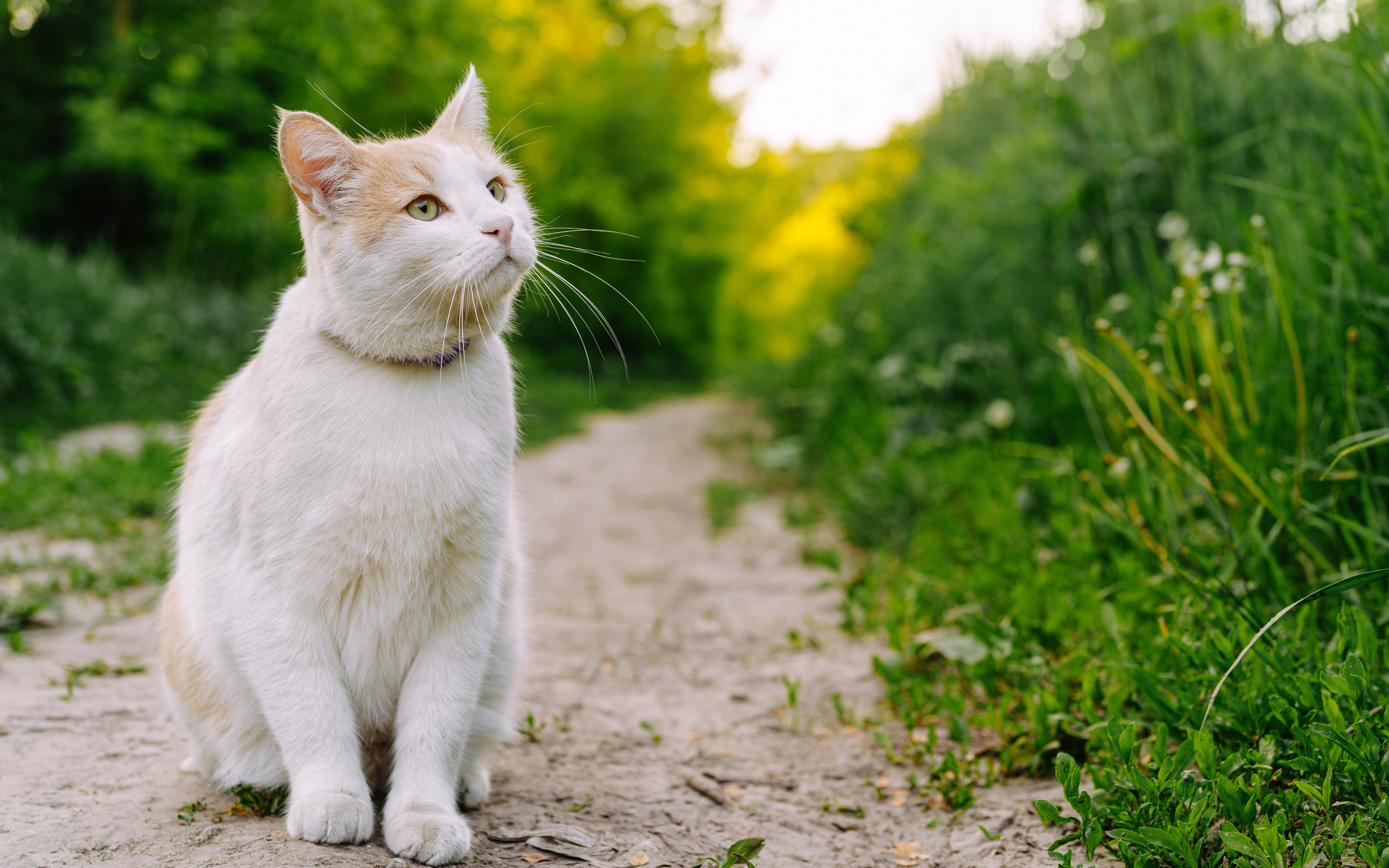 , Вертиков Юрий