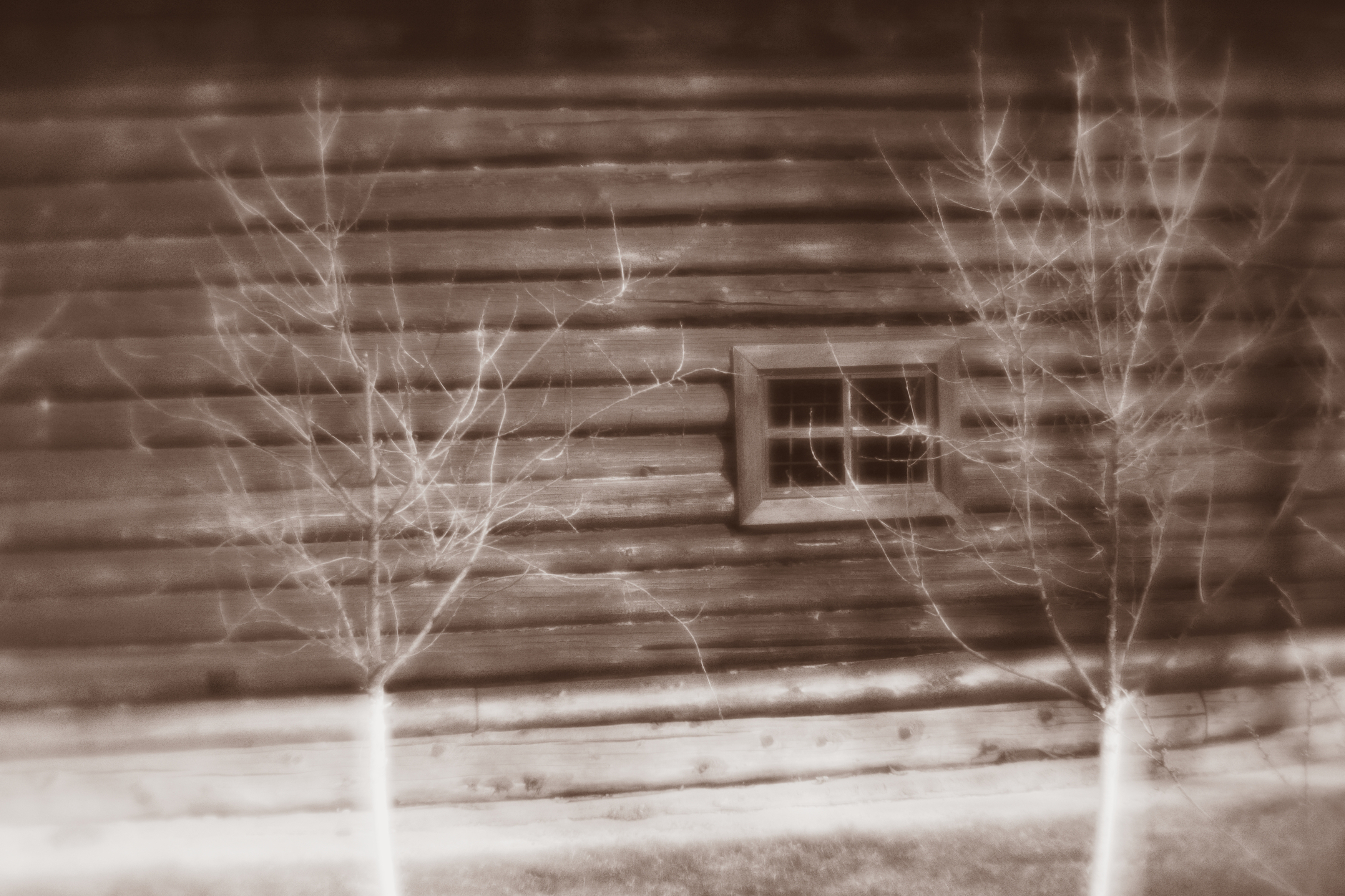 , Таня Смолевская