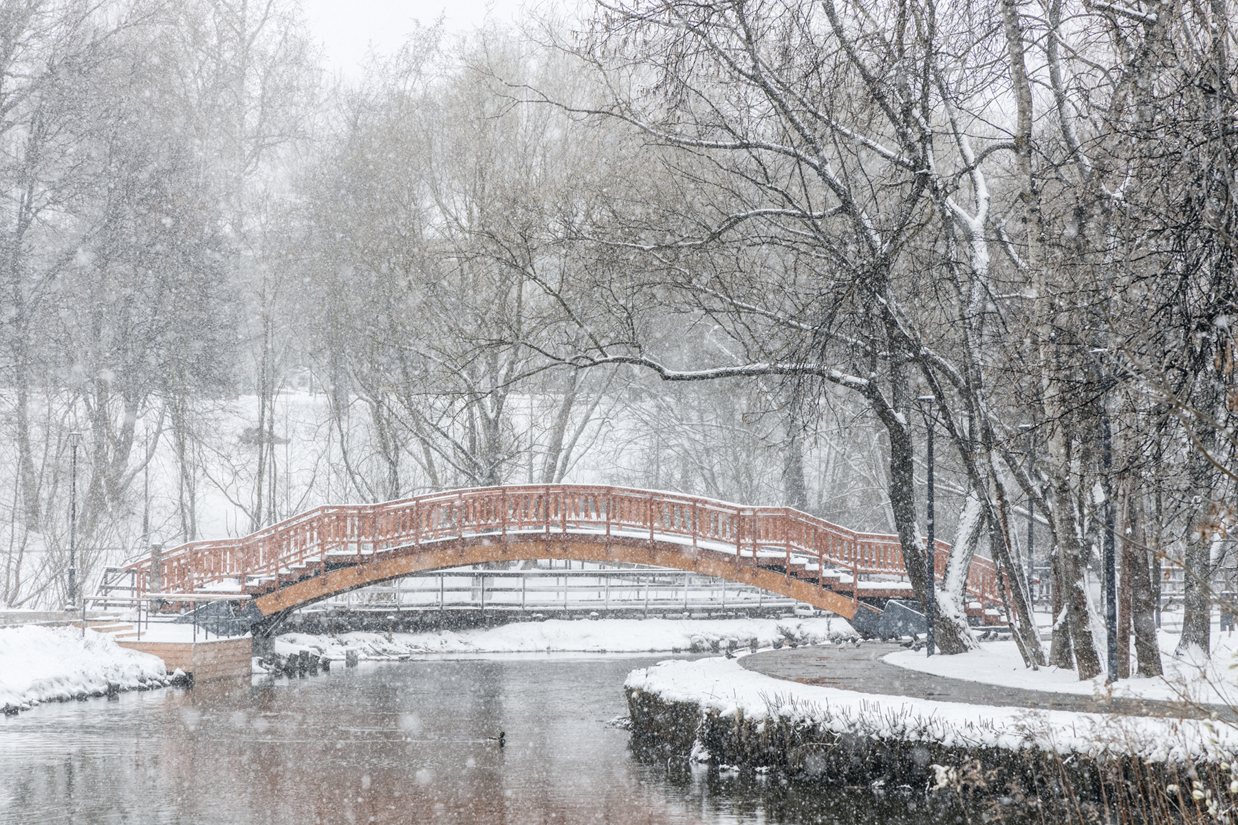 , Светлана Грянкина