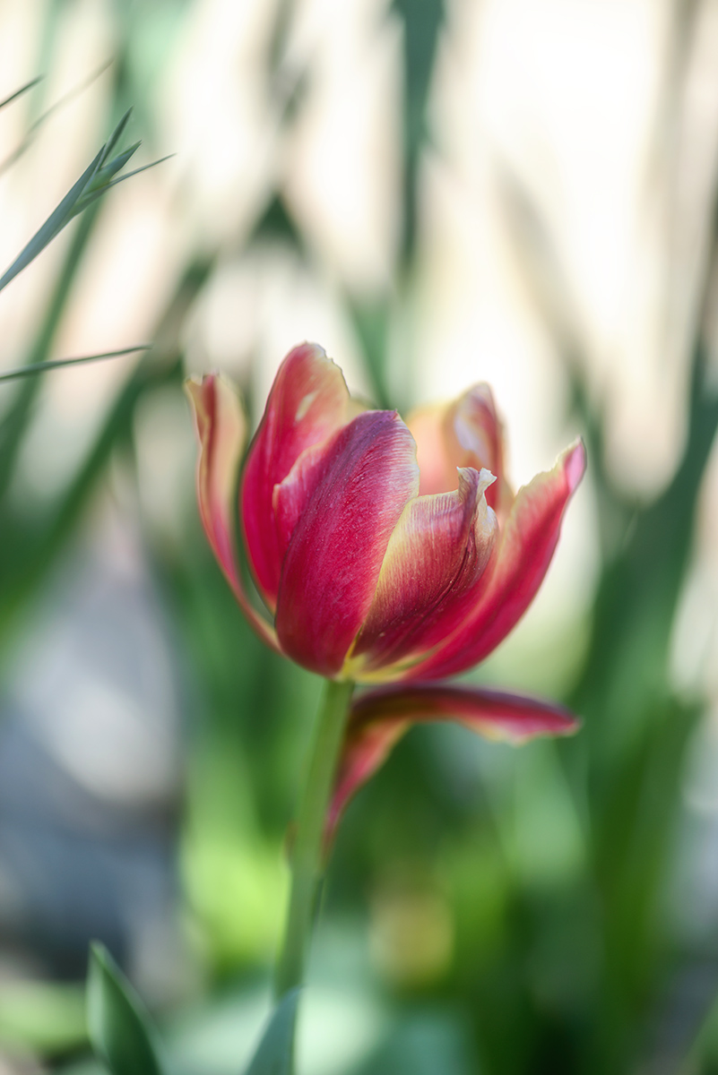 , Наиля Гарифуллина