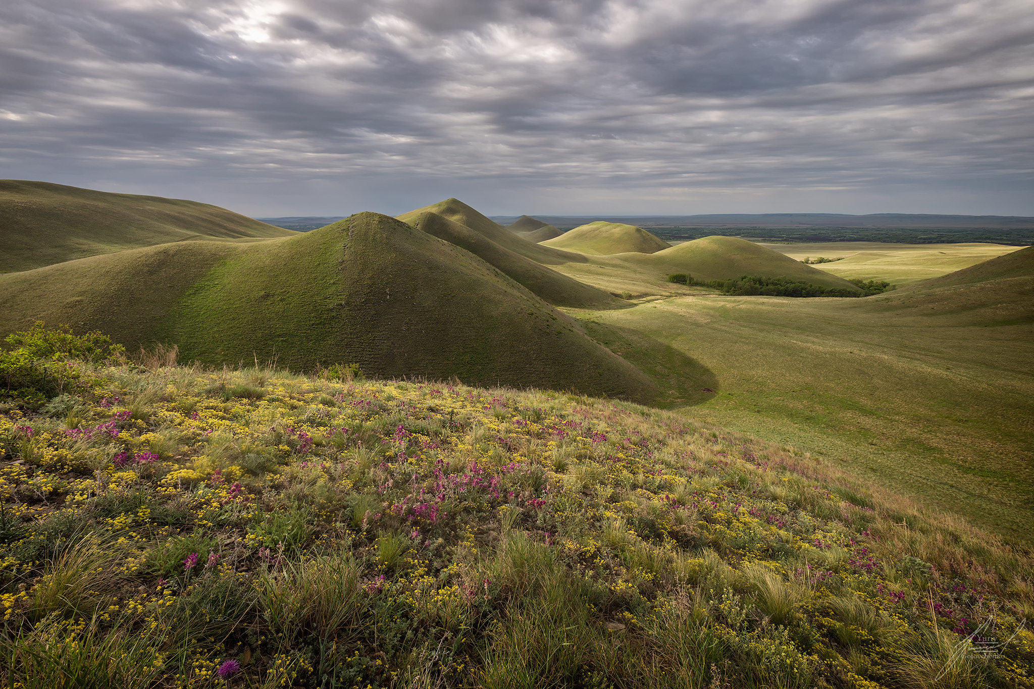 , Головченко Юрий