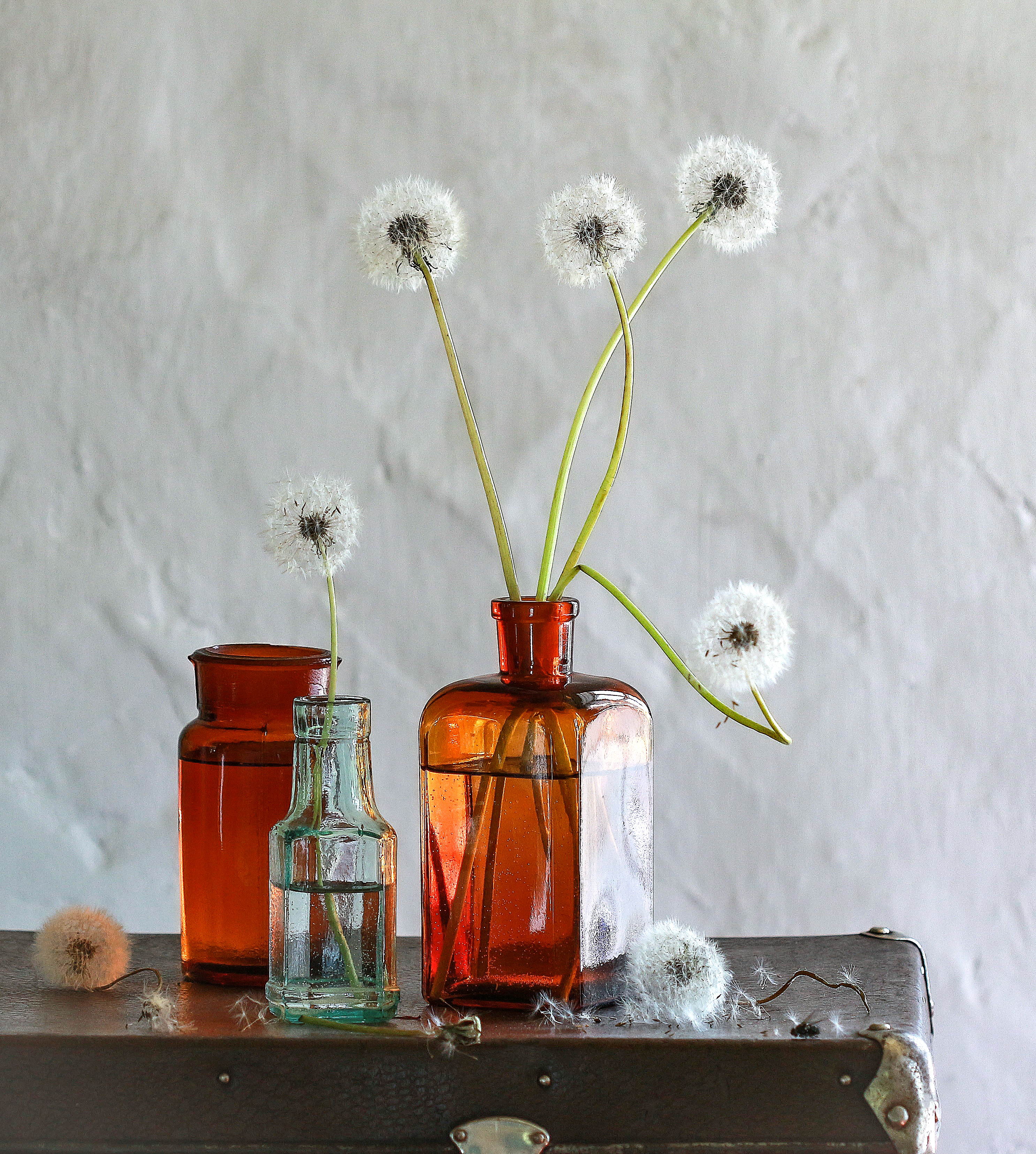 , Наталья Казанцева