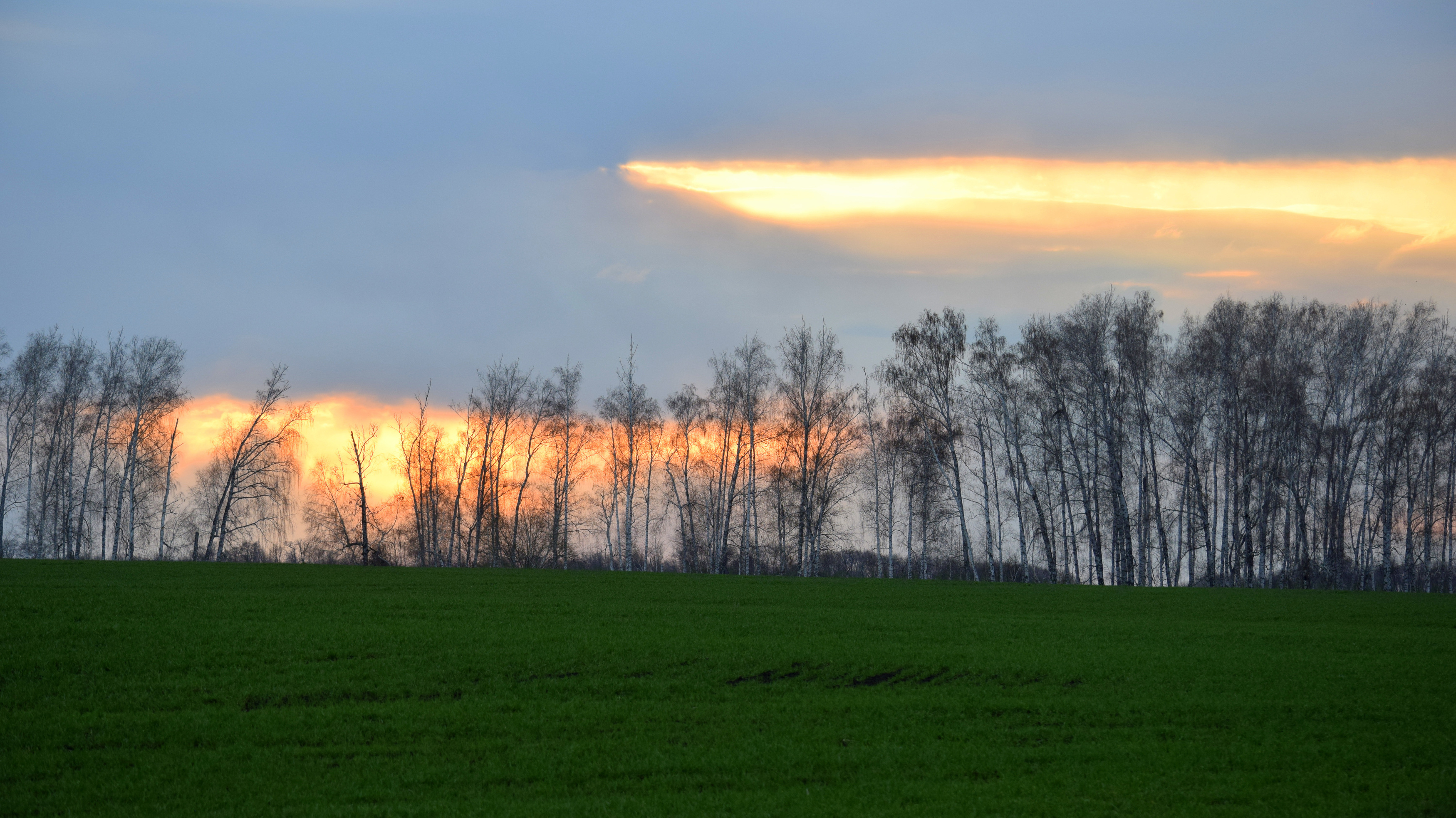 , Неверова Наталья