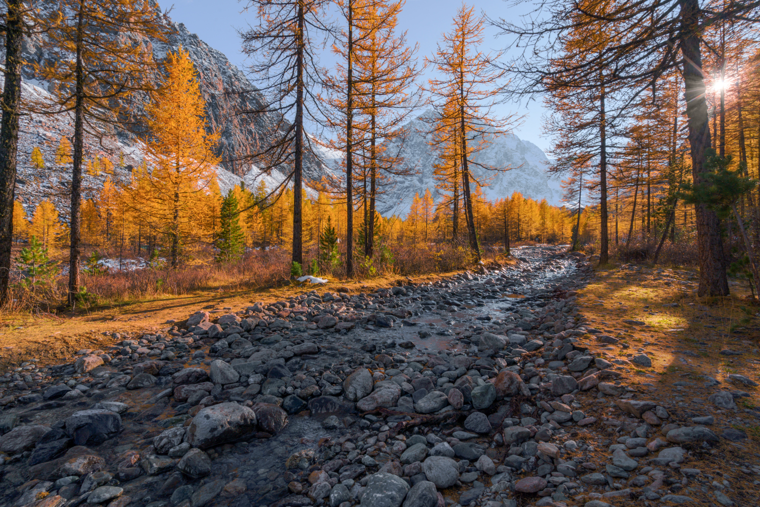 Россия, Алтай, Актру,осень, горы, пейзаж, природа, Лариса Дука