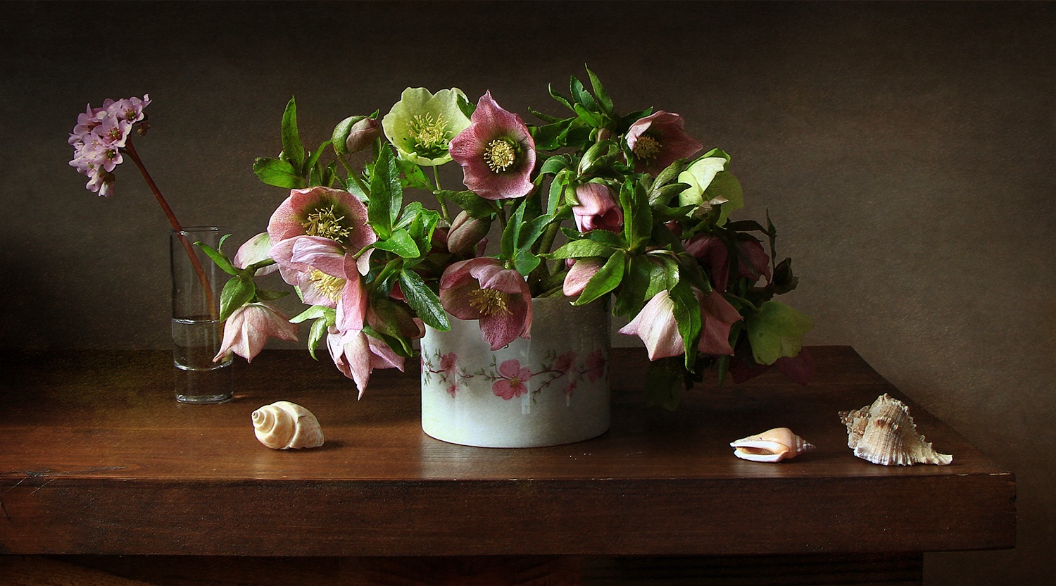 , Рита Гончаренко