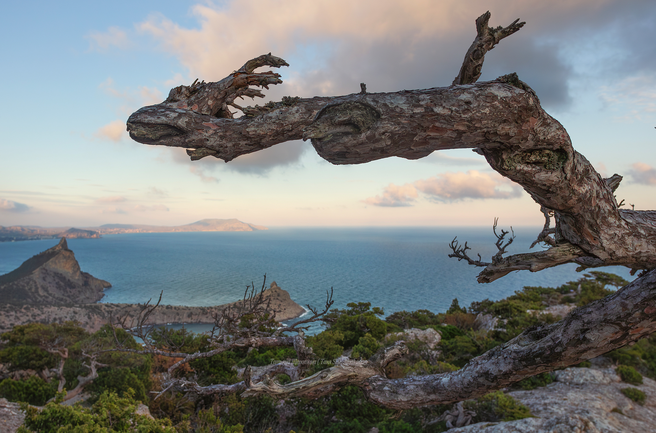 крым, новый свет, судак, пейзаж, горы, море, landscape, crimea, крымский пейзаж, sanset, Щепотина Татьяна
