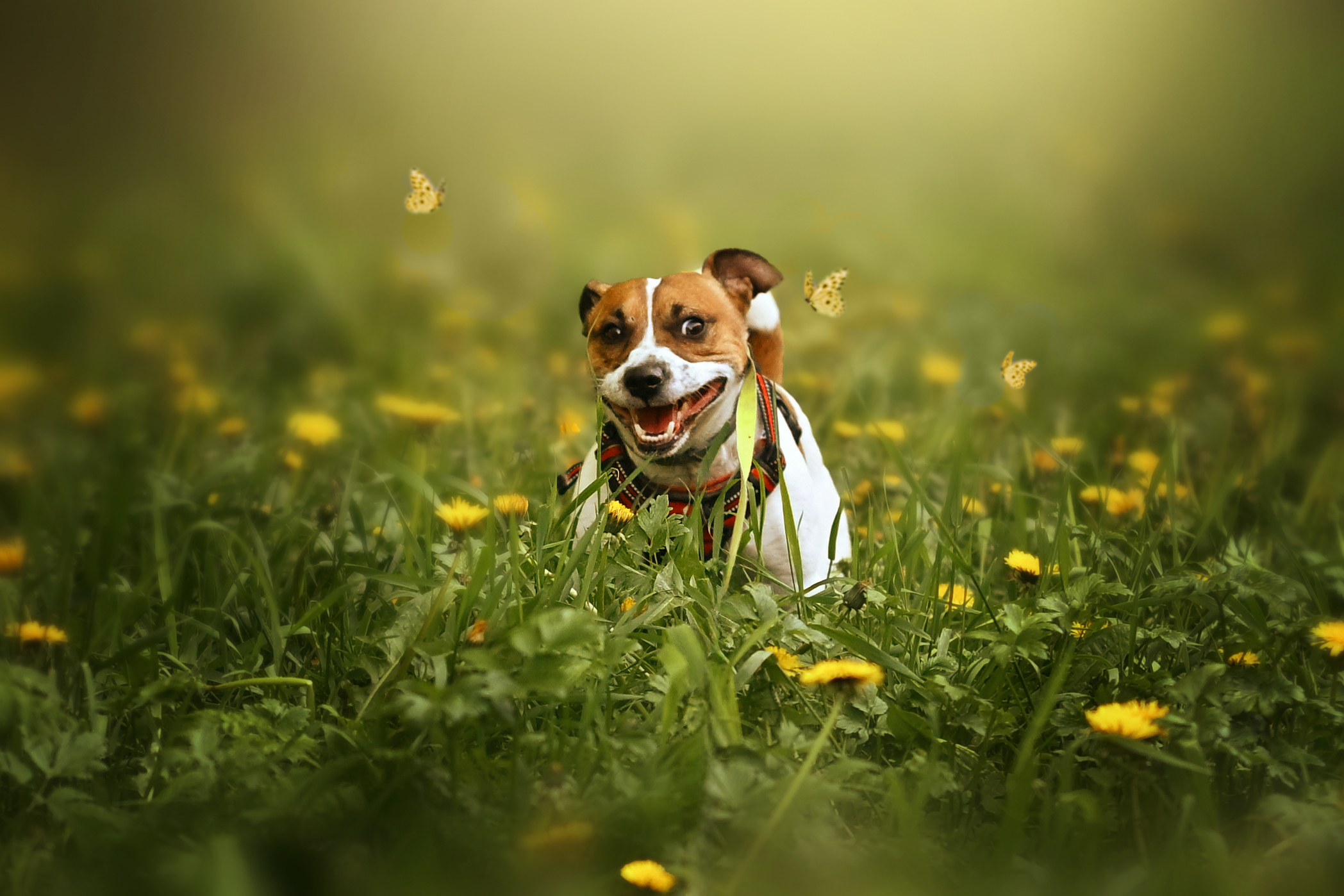 , Ушакова Елена