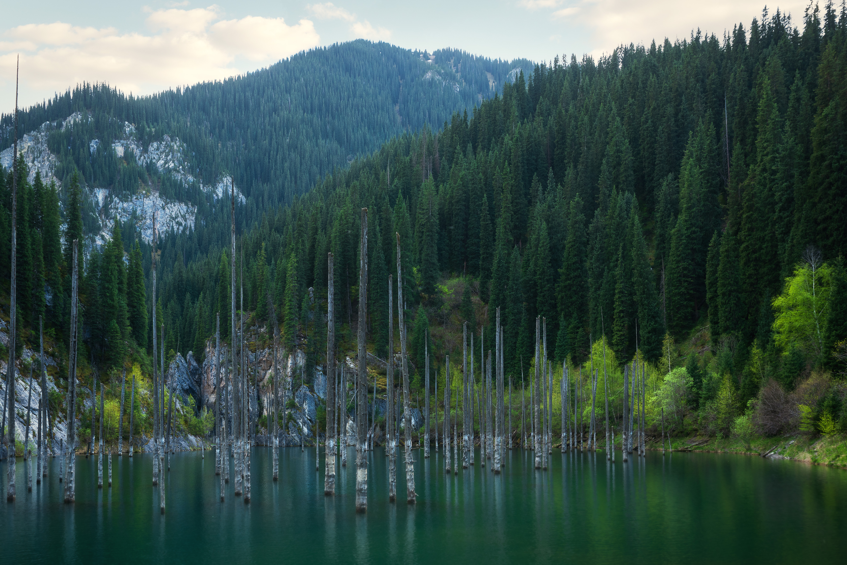 , Рагинская Ольга