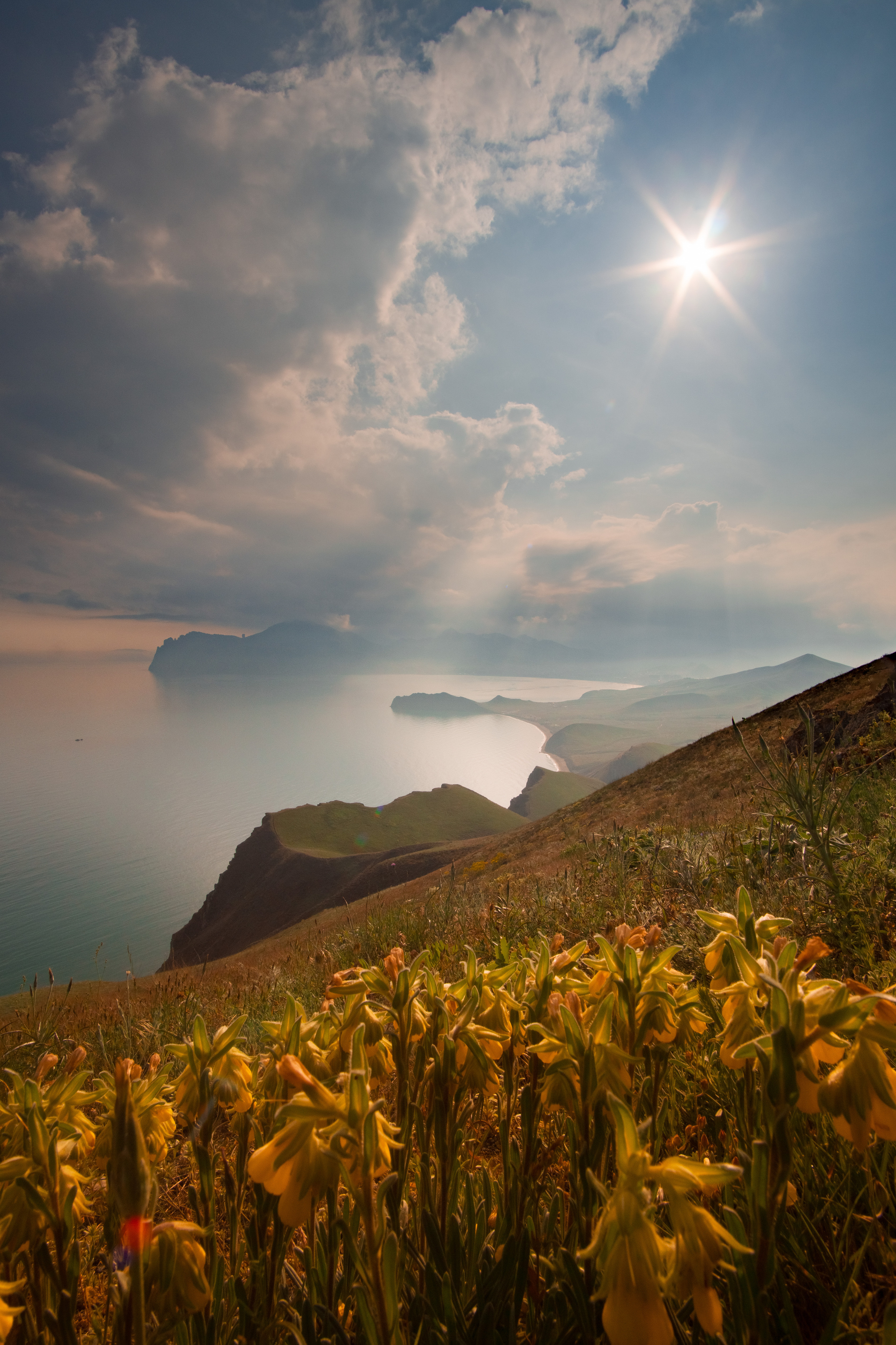 , Кривцов Андрей