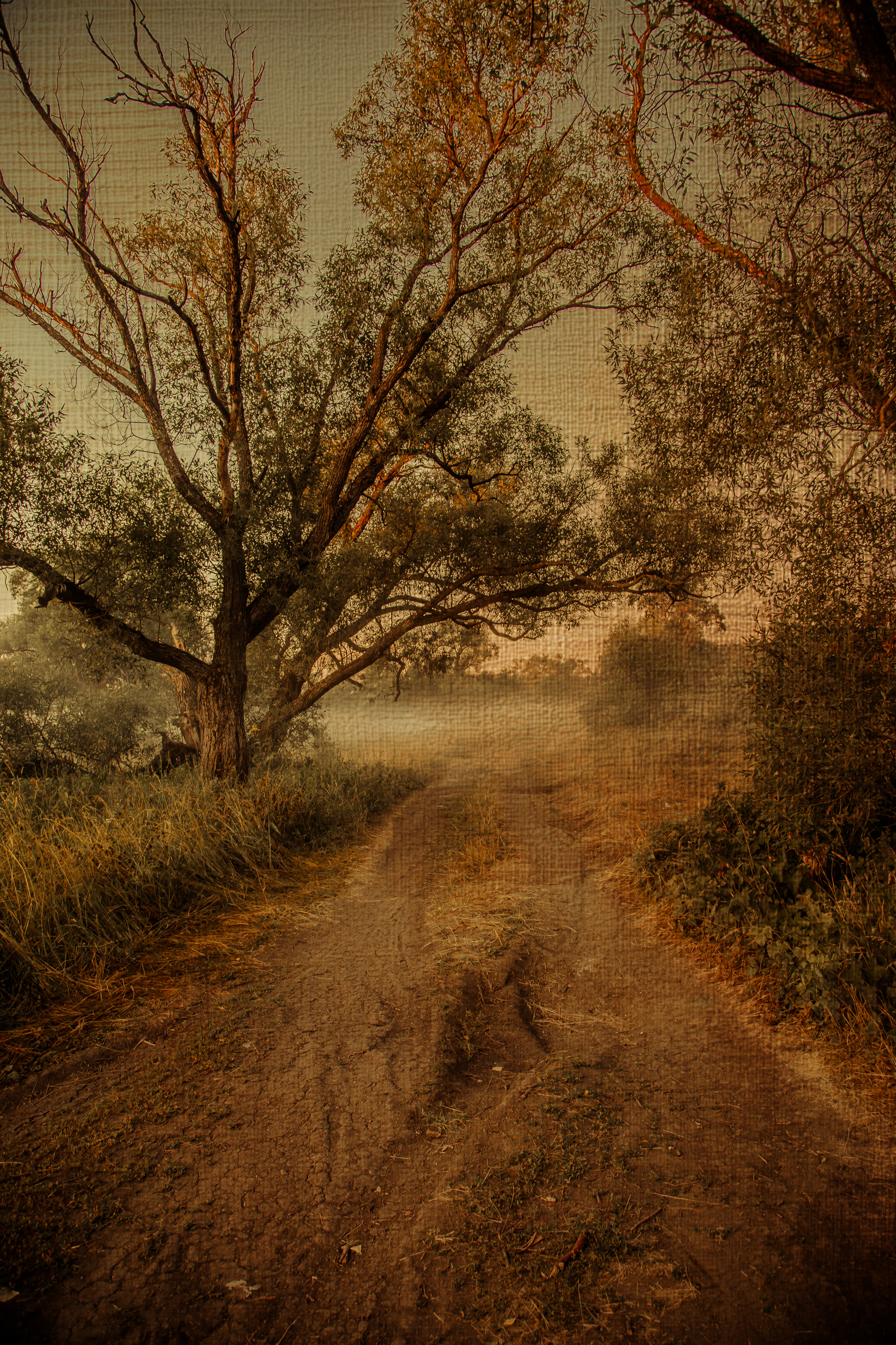 , Сагдиева Эльвира