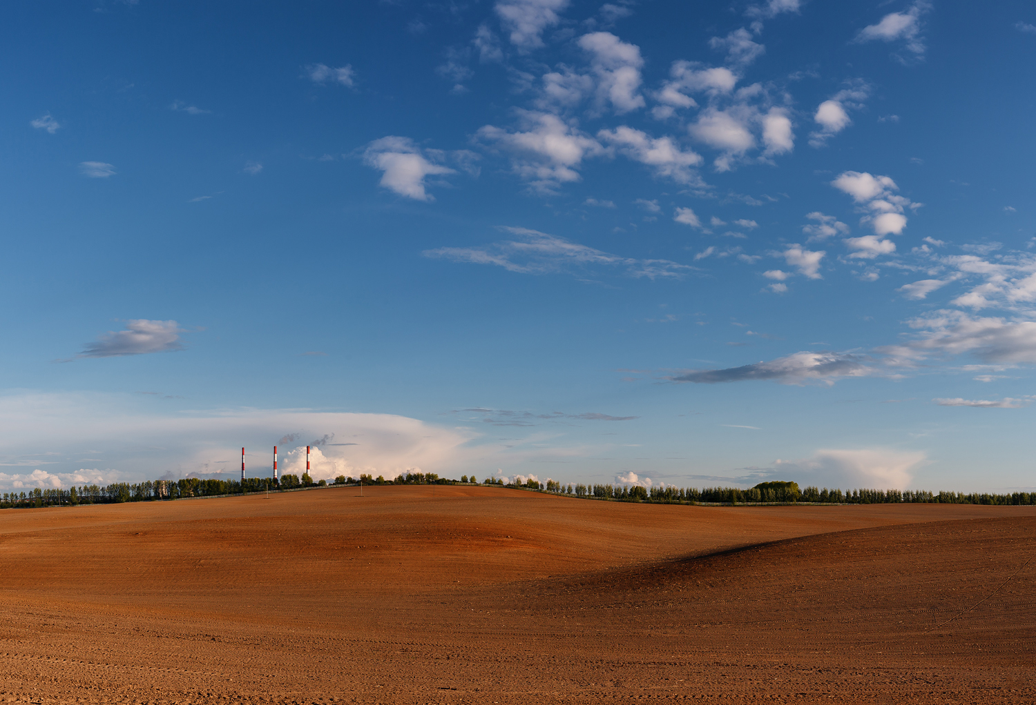 весна май  вечер  поле пейзаж панорама, Карабинов Дима